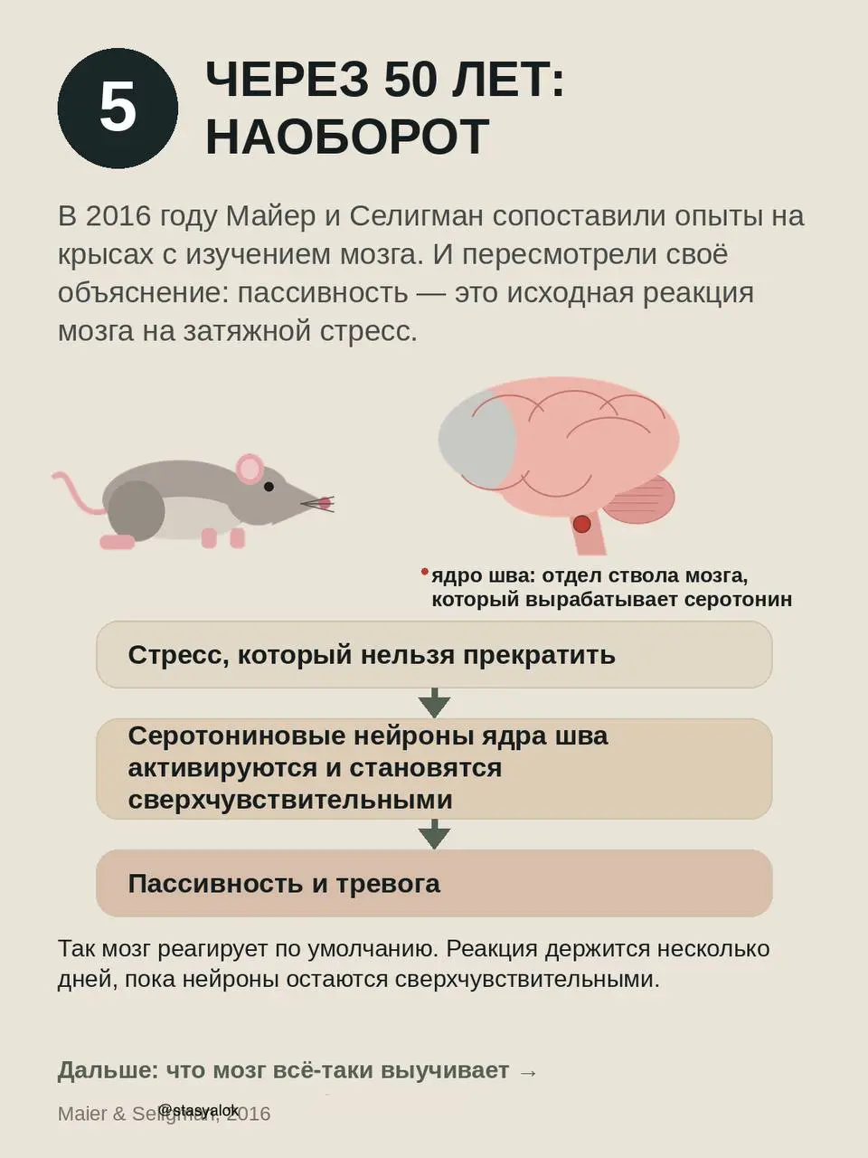 Выученная беспомощность: мы поняли её наоборот?
Классический опыт 1967 года: собак бьют током в гамаке. Одни могут остановить удар, нажав носом на панель | Сетка — социальная сеть от hh.ru