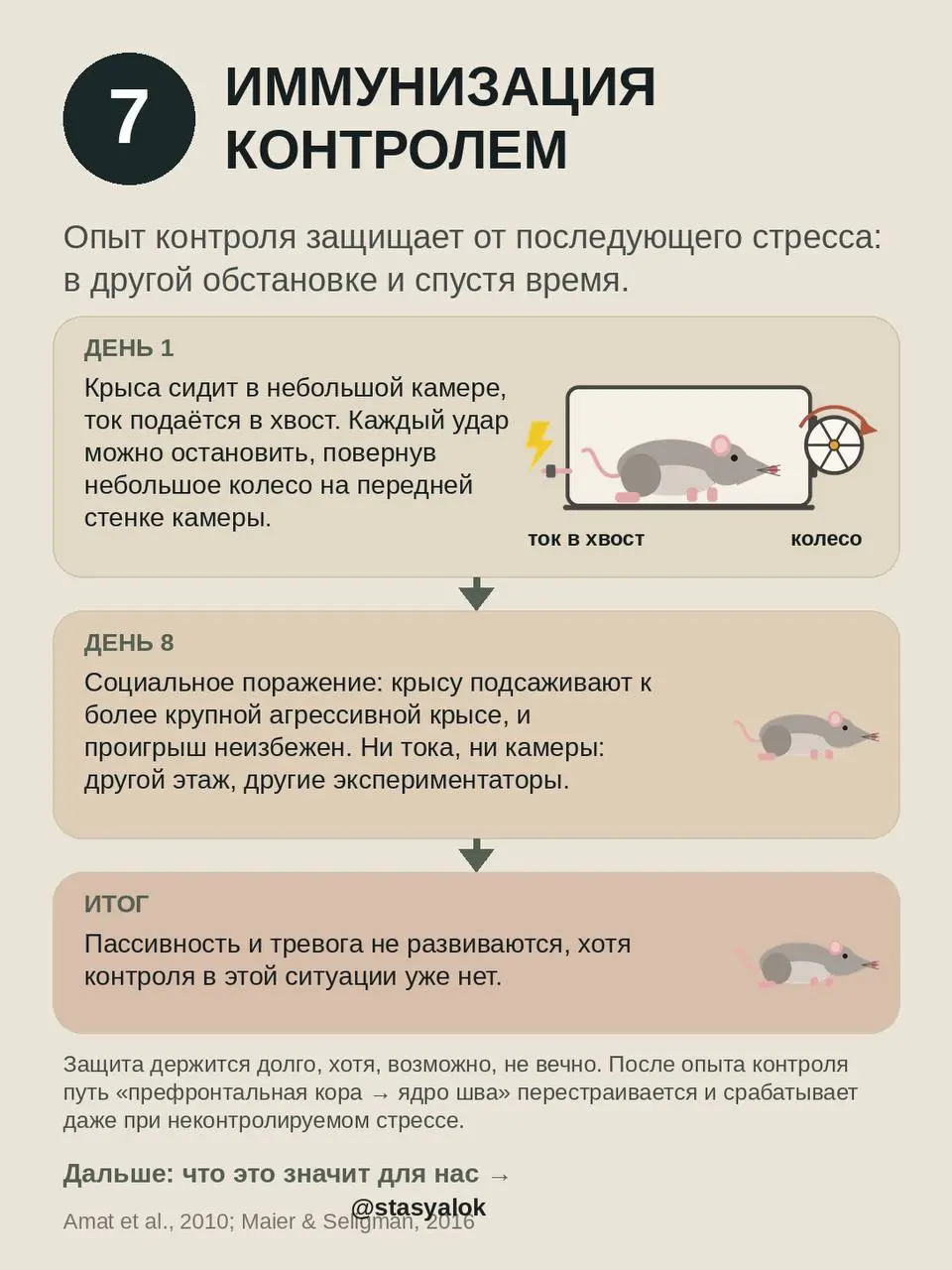 Выученная беспомощность: мы поняли её наоборот?
Классический опыт 1967 года: собак бьют током в гамаке. Одни могут остановить удар, нажав носом на панель | Сетка — социальная сеть от hh.ru