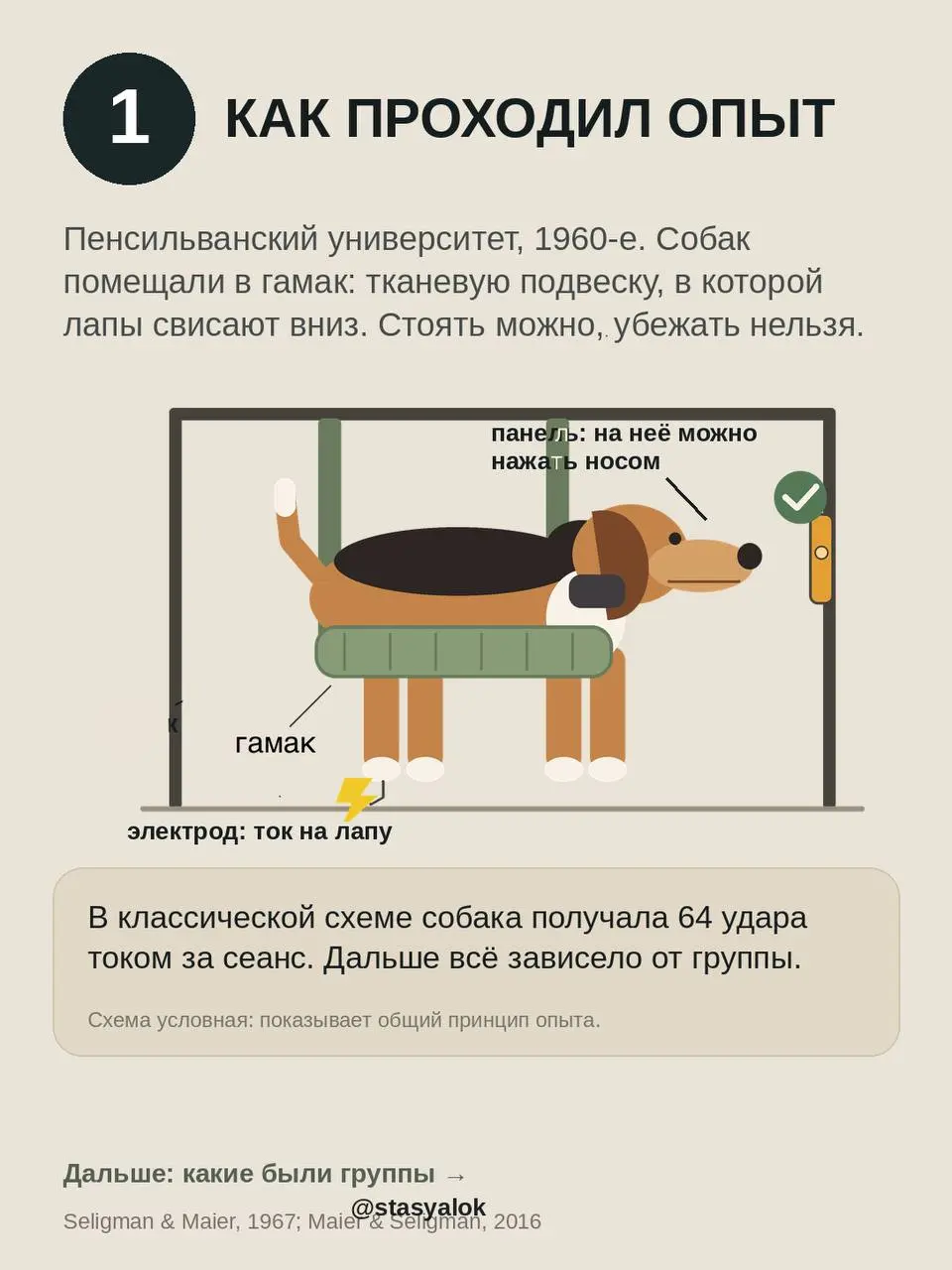 Выученная беспомощность: мы поняли её наоборот?
Классический опыт 1967 года: собак бьют током в гамаке. Одни могут остановить удар, нажав носом на панель | Сетка — социальная сеть от hh.ru