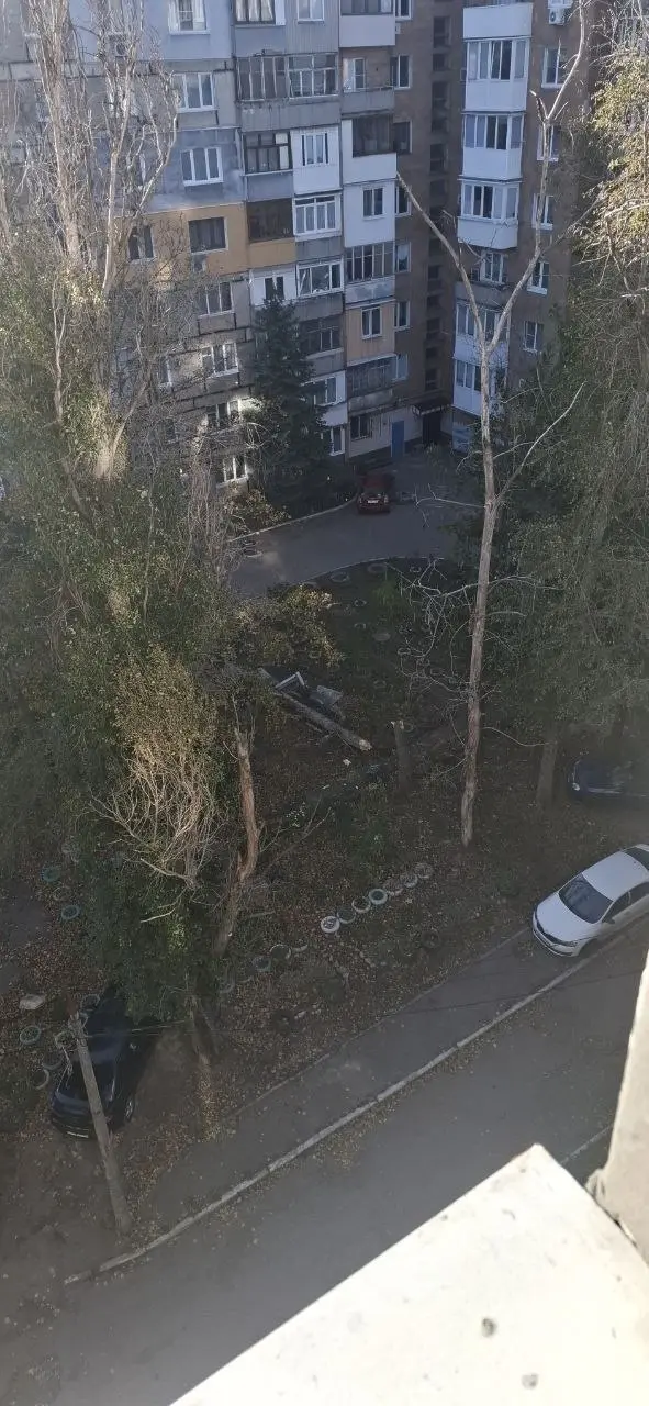 На Текстиле сегодня упало дерево на лавочку.
Хочу напомнить, что в прошлом году во время урагана у нас уже убило мальчика 10-летнего деревом... | Сетка — социальная сеть от hh.ru