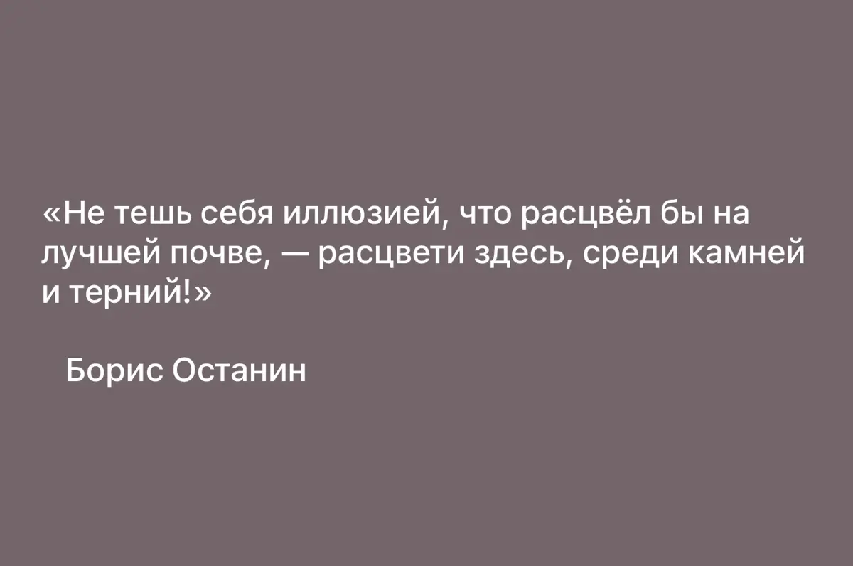ЦИТАТА ДНЯ… | Сетка — социальная сеть от hh.ru