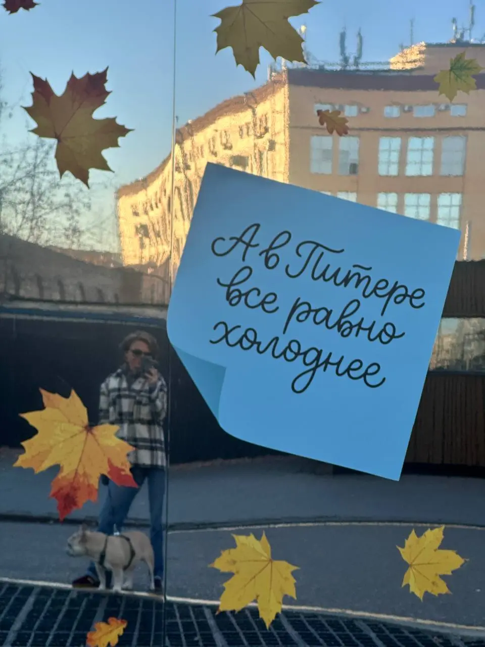 К Питеру всегда с Любовью. Когда она есть, что-то можно и простить☺️ | Сетка — социальная сеть от hh.ru