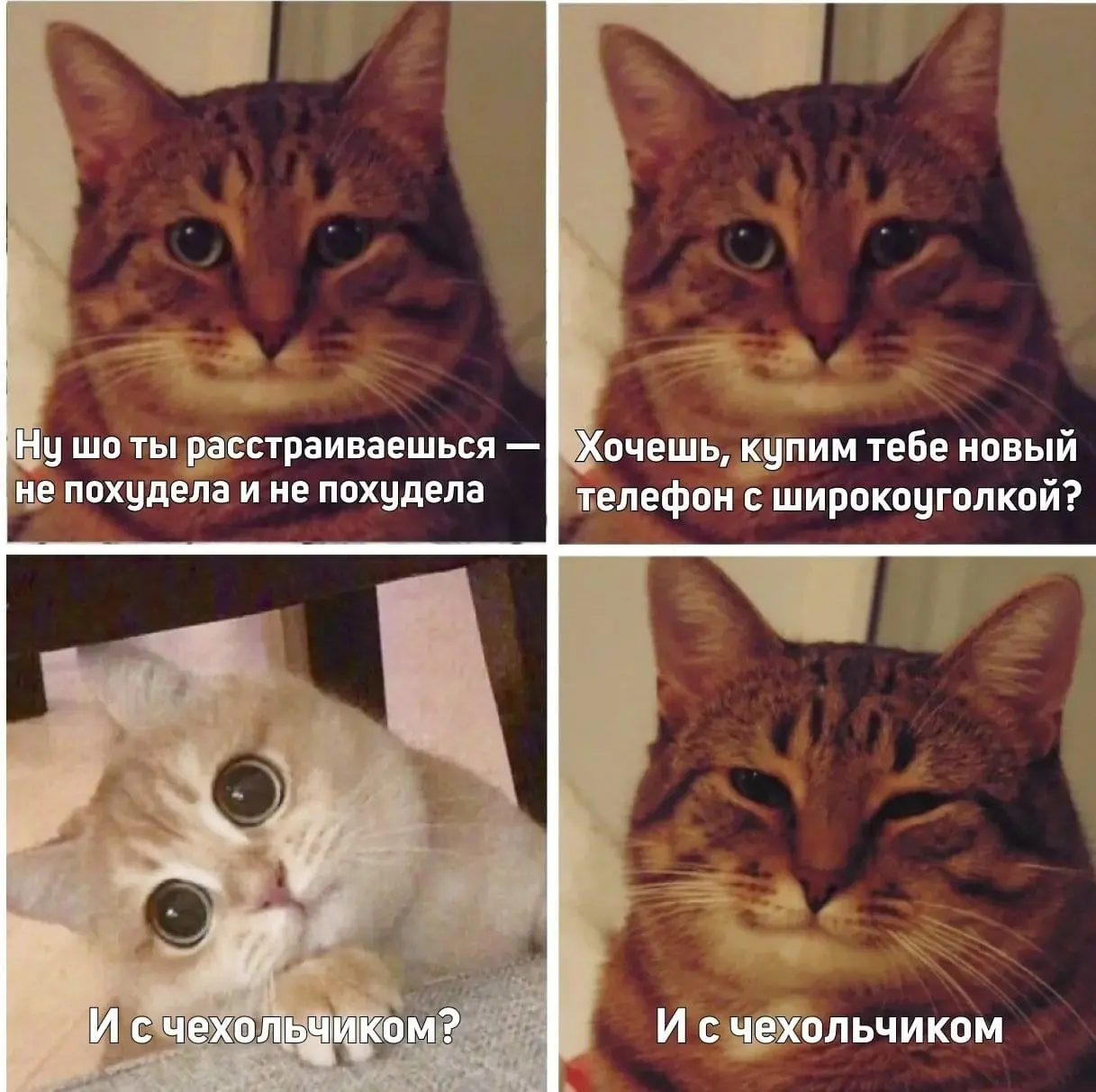 С красивым чехольчиком 😂
БЛОГ В ТГ / БЛОГ В MAX
#Юмор #Коты
В этом посте были ссылки, но мы их удалили по правилам Сетки | Сетка — социальная сеть от hh.ru