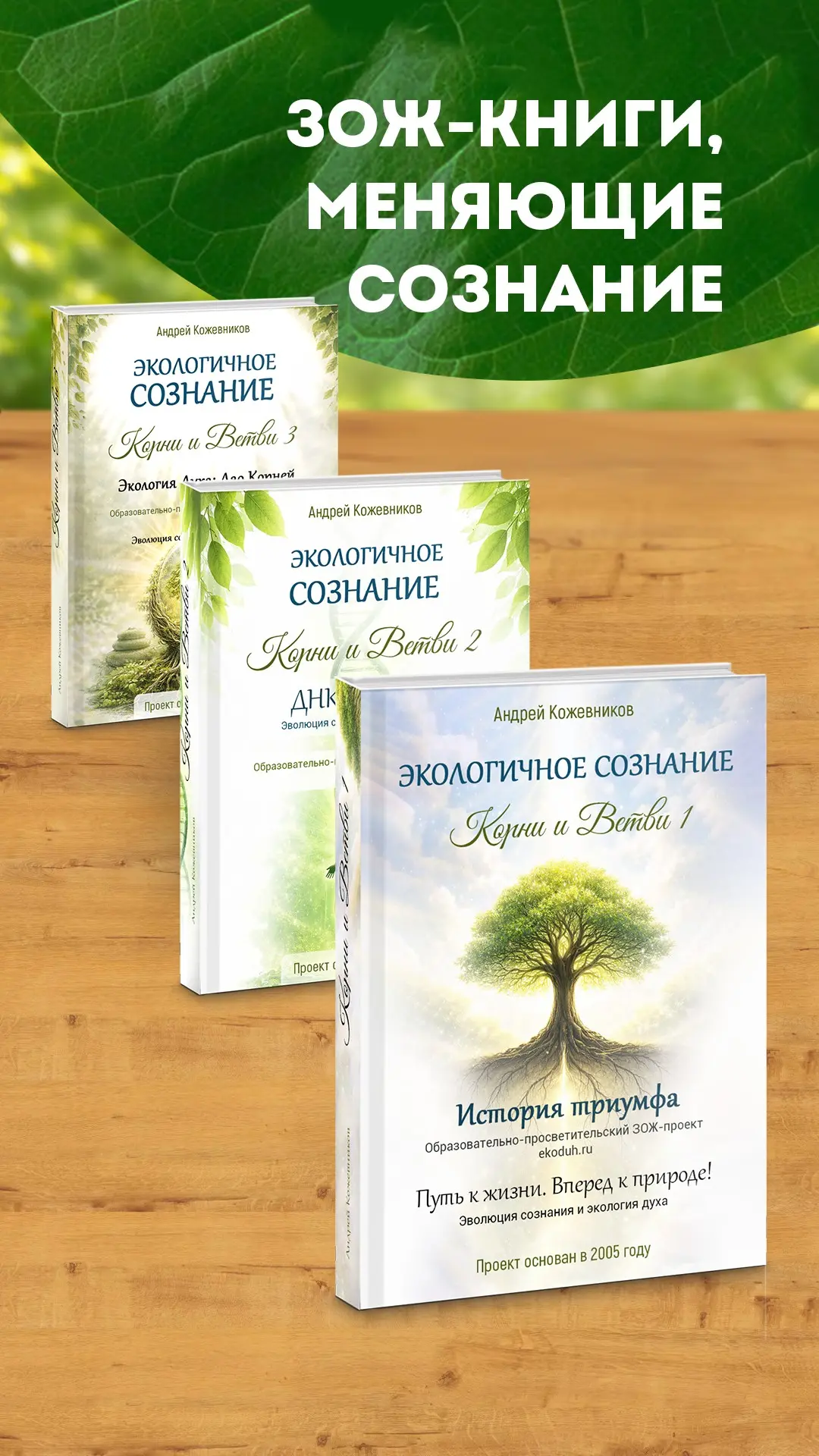 Когда тело, разум и дух перестают притворяться чужими 🌿🧠✨ | Сетка — социальная сеть от hh.ru