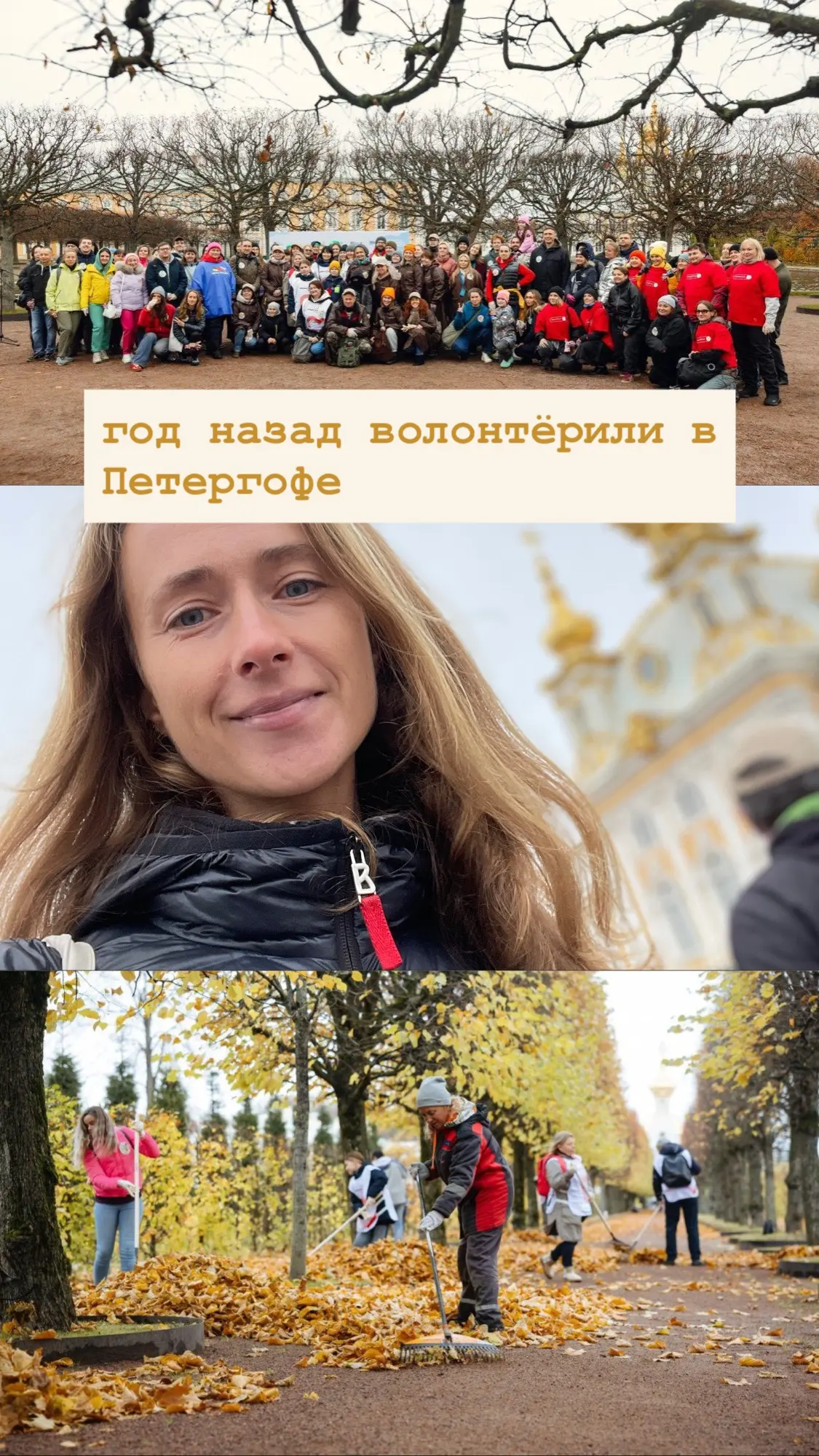 Год назад волонтёрили в Петергофе 💕 | Сетка — социальная сеть от hh.ru