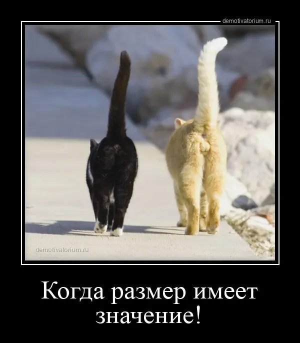 Парадокс Лейна | Ч. 3 | Борт зависит от размера блока | Сетка — социальная сеть от hh.ru