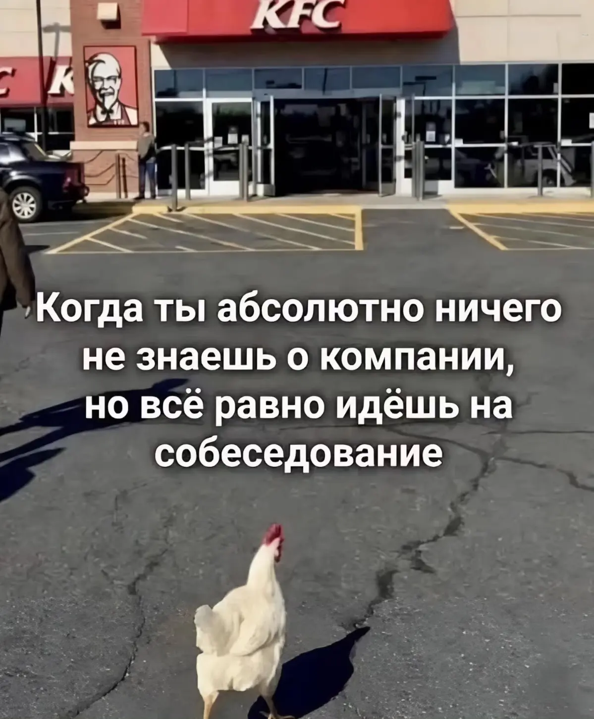 Завтра понедельник, кажется | Сетка — социальная сеть от hh.ru