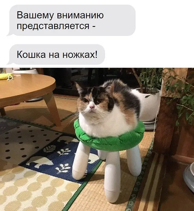 Ищу работу: день 33. | Сетка — социальная сеть от hh.ru