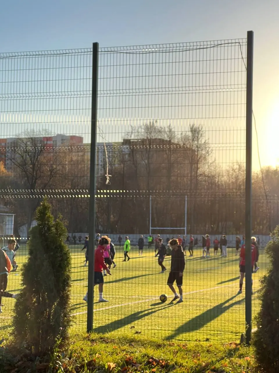 осень в Филевском парке | Сетка — социальная сеть от hh.ru