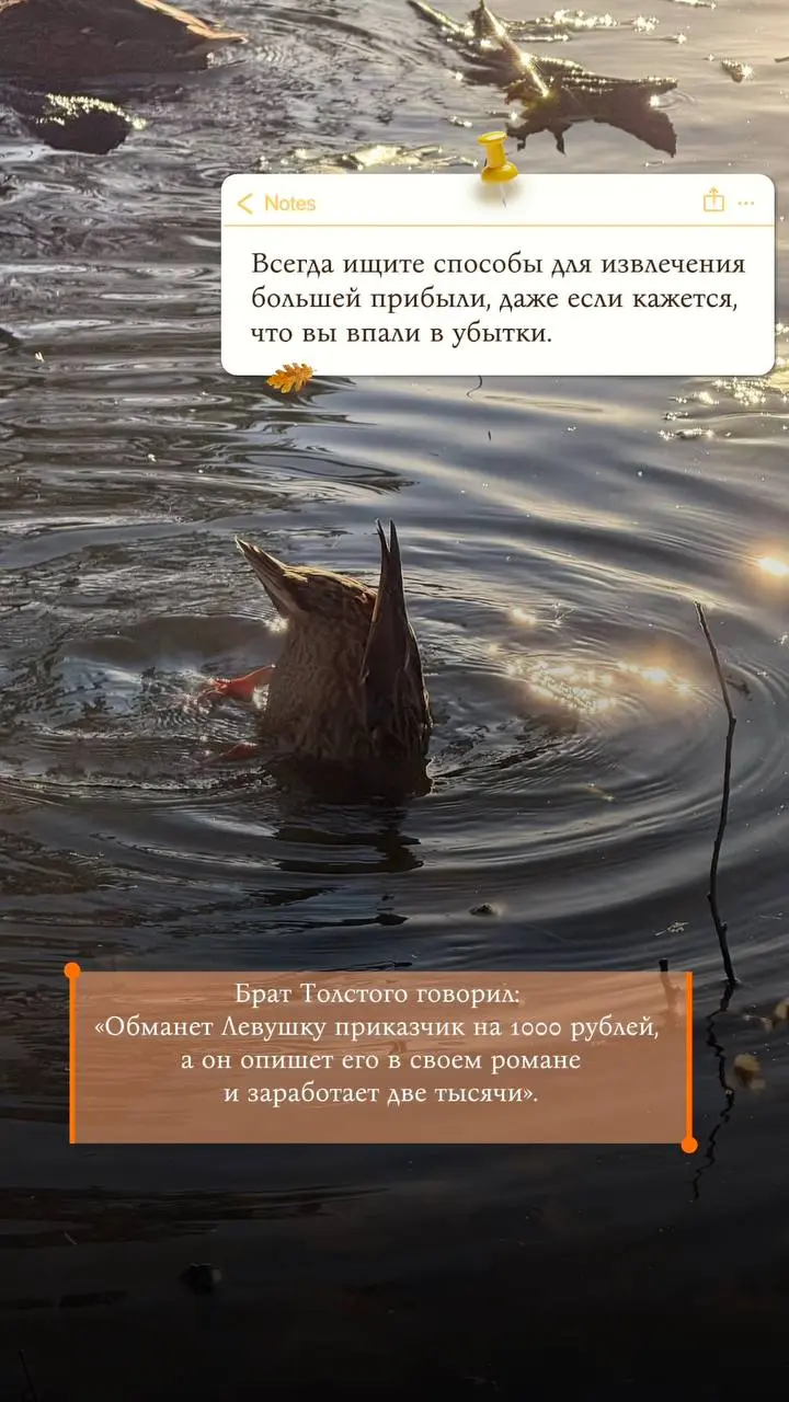 Отчёты сданы, значит, можно выдохнуть и погрузиться в историю! 📚
Сегодня я побывала в Ясной Поляне — усадьбе Льва Толстого | Сетка — социальная сеть от hh.ru