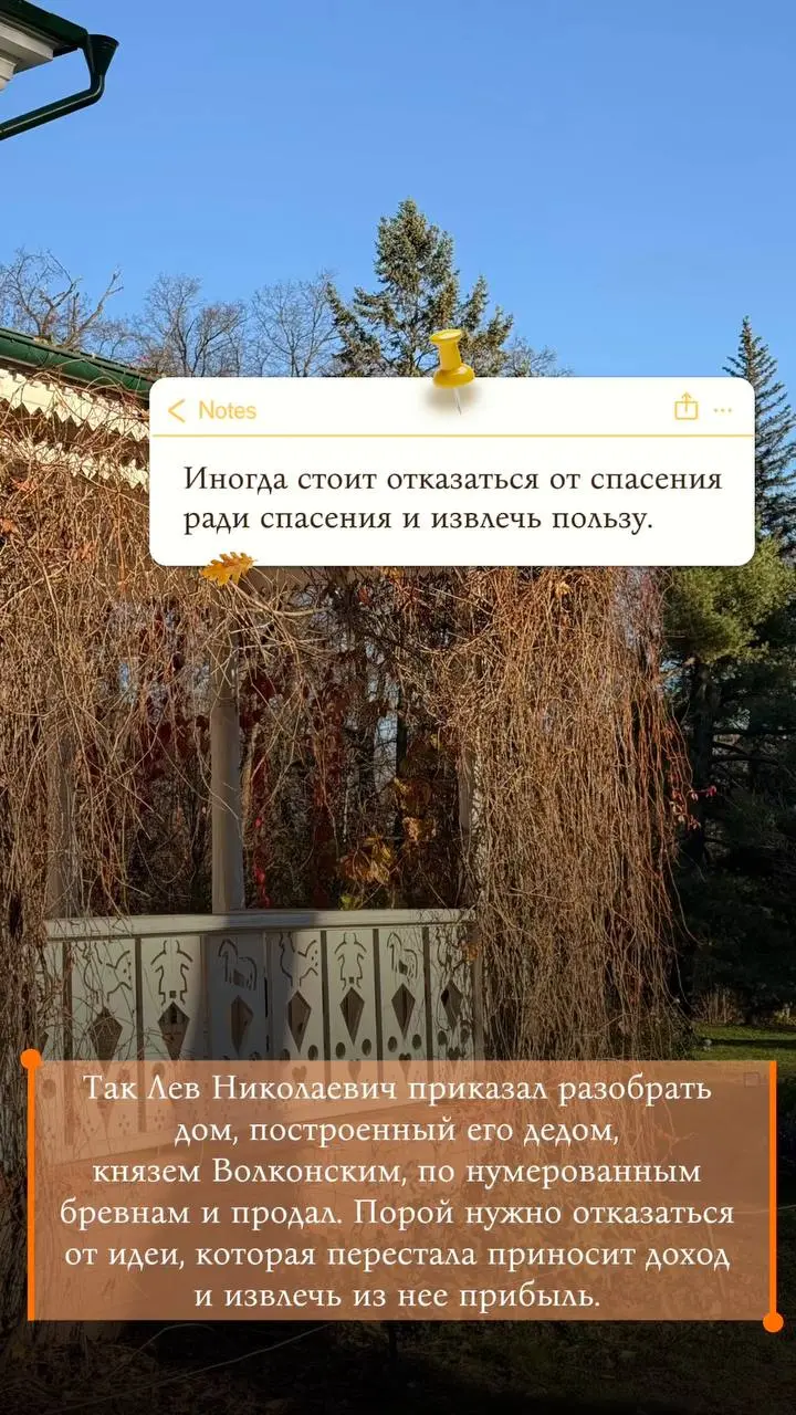 Отчёты сданы, значит, можно выдохнуть и погрузиться в историю! 📚
Сегодня я побывала в Ясной Поляне — усадьбе Льва Толстого | Сетка — социальная сеть от hh.ru