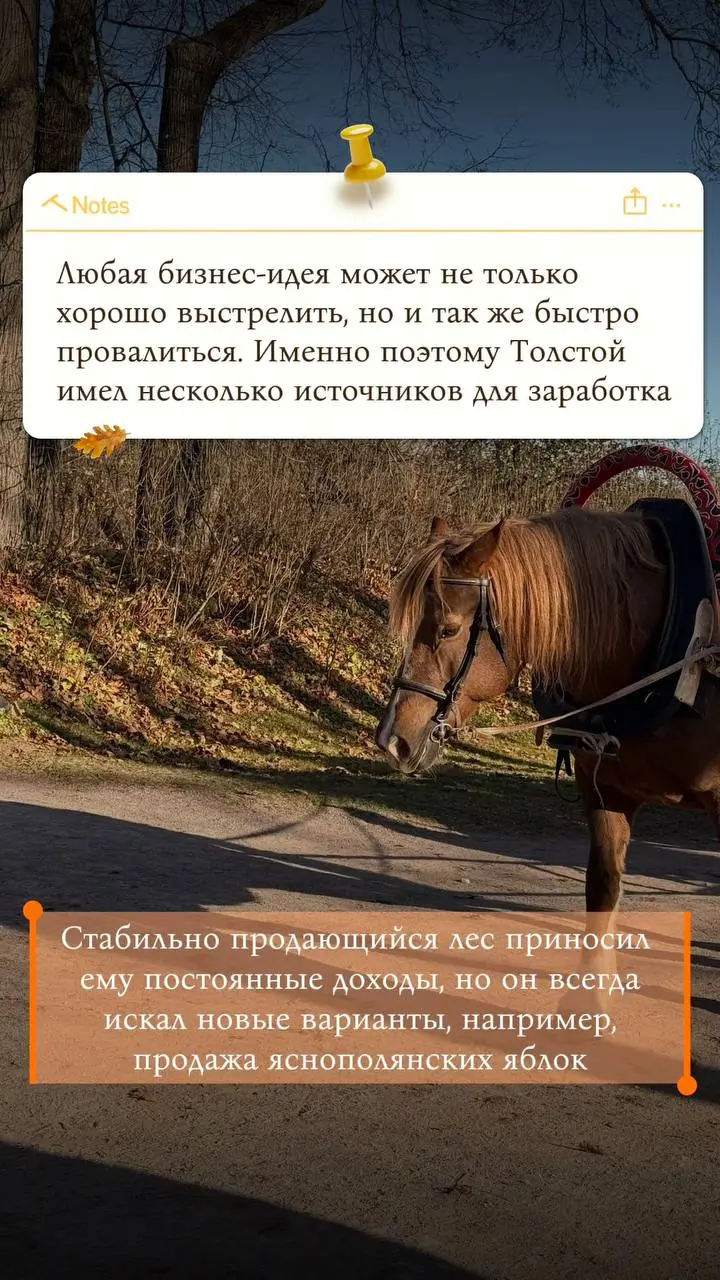 Отчёты сданы, значит, можно выдохнуть и погрузиться в историю! 📚
Сегодня я побывала в Ясной Поляне — усадьбе Льва Толстого | Сетка — социальная сеть от hh.ru