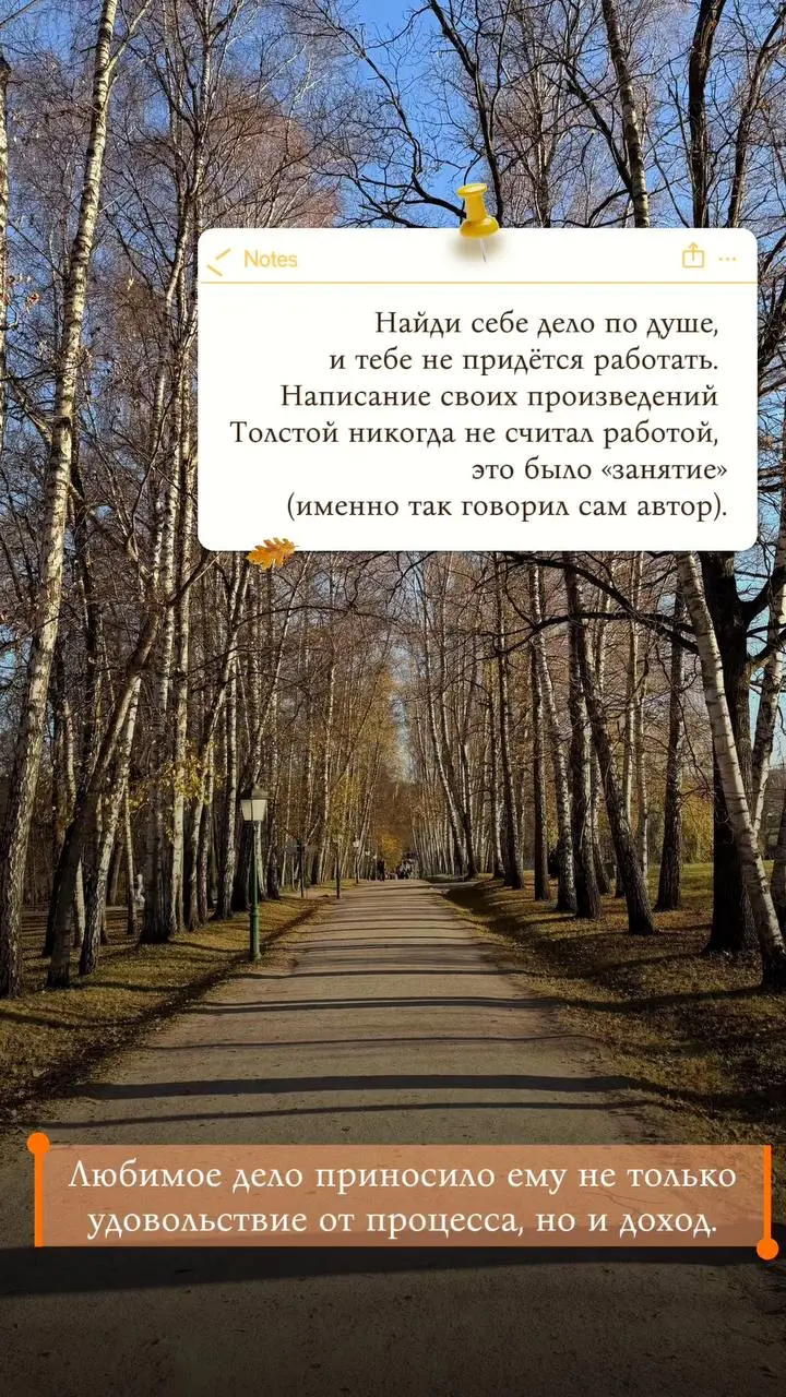 Отчёты сданы, значит, можно выдохнуть и погрузиться в историю! 📚
Сегодня я побывала в Ясной Поляне — усадьбе Льва Толстого | Сетка — социальная сеть от hh.ru