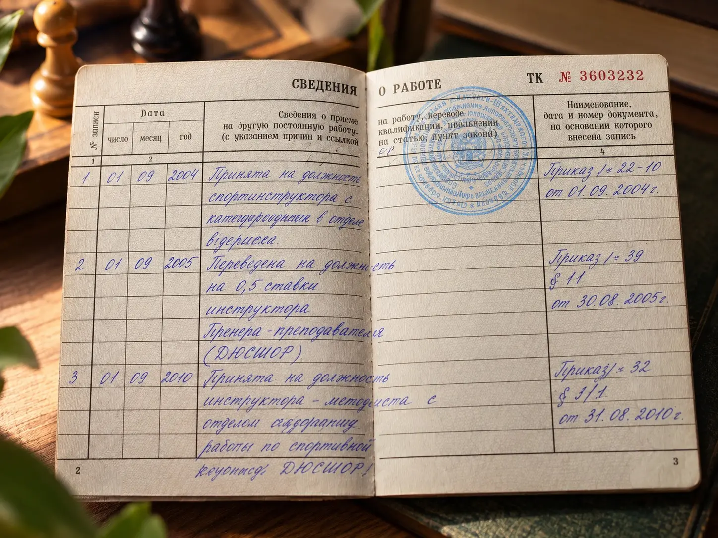 ♟️ 20+ лет работы с детьми теперь буквально по трудовой | Сетка — социальная сеть от hh.ru