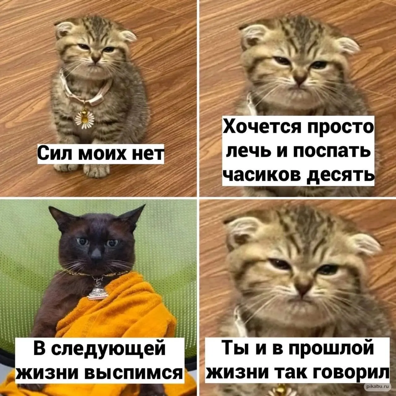 Когда же получится 😂
БЛОГ В ТГ / БЛОГ В MAX
#Юмор #Коты
В этом посте были ссылки, но мы их удалили по правилам Сетки | Сетка — социальная сеть от hh.ru