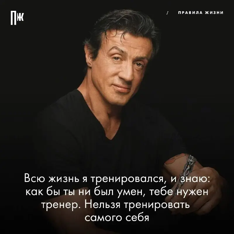 Правило дня от Сильвестра
Сталлоне.
Пока вы ставите лайки (надеюсь, так и есть ❤️)
ниже 4 быстрых вопроса о нашем проекте (о проекте сегодня расскажу) | Сетка — социальная сеть от hh.ru