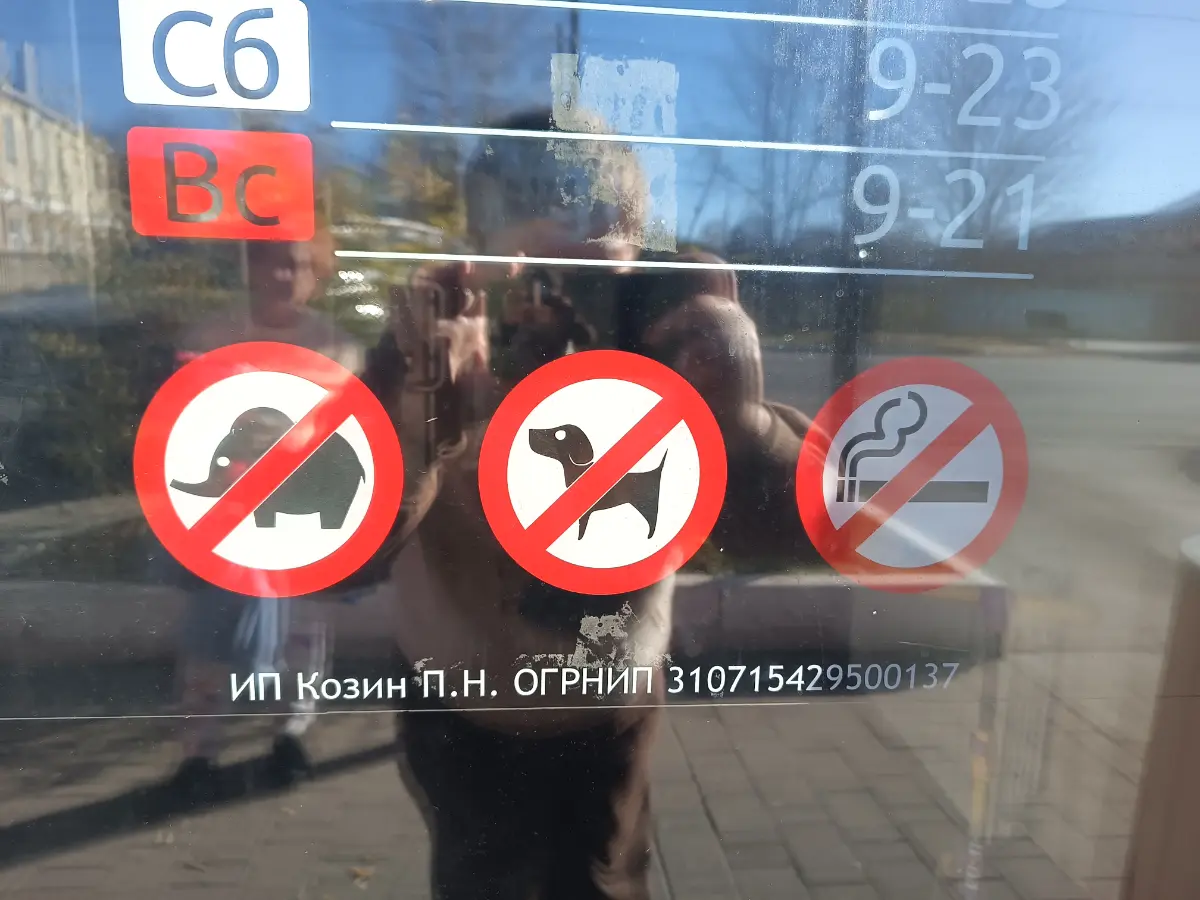 Народ, если будете в Одоеве, большая просьба своим мамонтов и слонов оставлять дома, обгонять на них нельзя, накормить в общепите тоже не получится | Сетка — социальная сеть от hh.ru