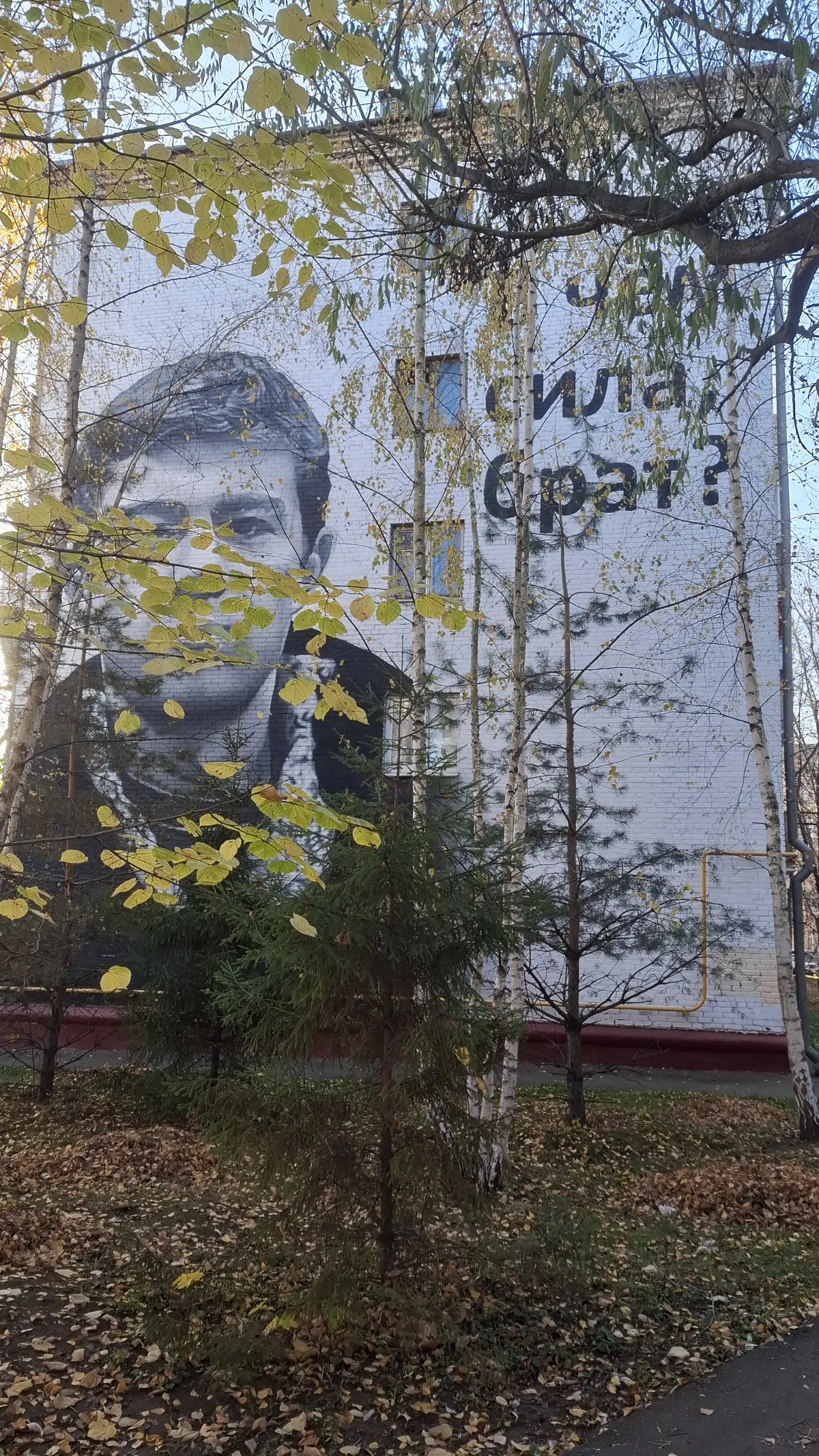 В чем сила, брат? — вечный вопрос, ответ на который у каждого свой. 🤔 | Сетка — социальная сеть от hh.ru