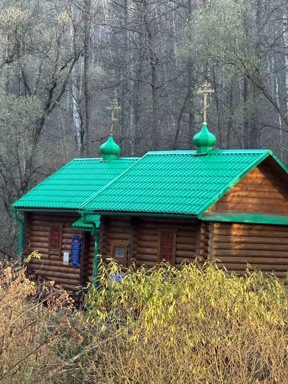 #купель
На источник в Колюпаново Тульской области я хожу уже давно. Народу там немного, и встречи у купели редкие, поэтому запоминаются | Сетка — социальная сеть от hh.ru