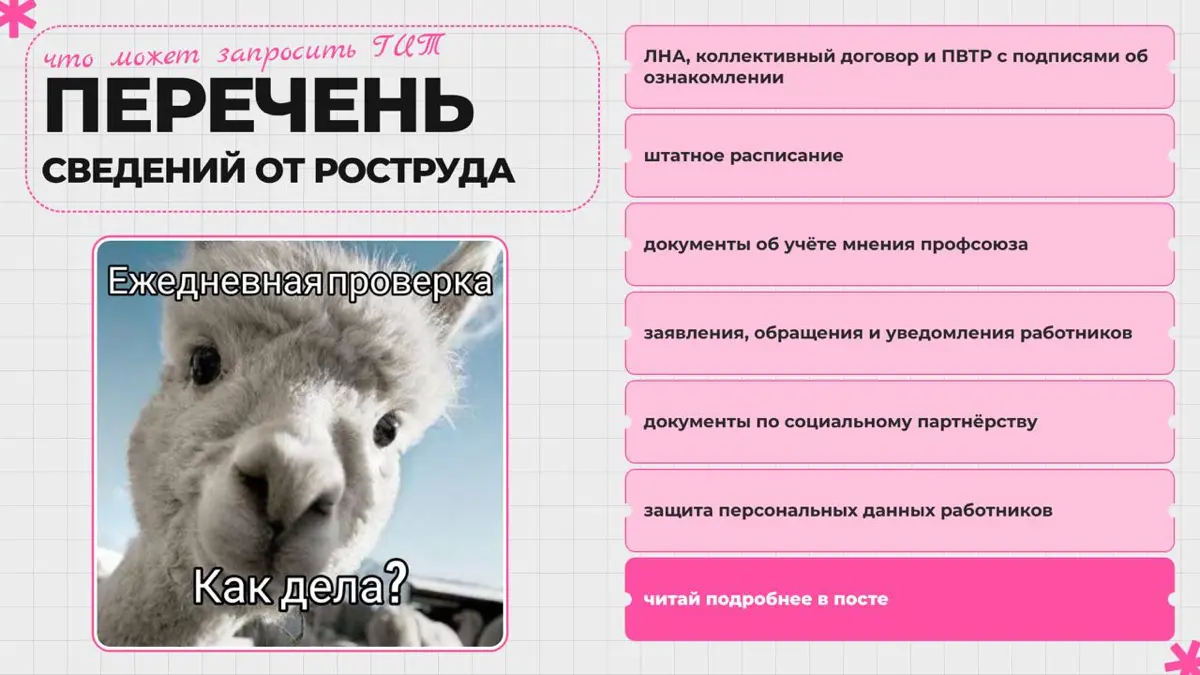 Доброго понедельника! Полезности от Роструда | Сетка — социальная сеть от hh.ru