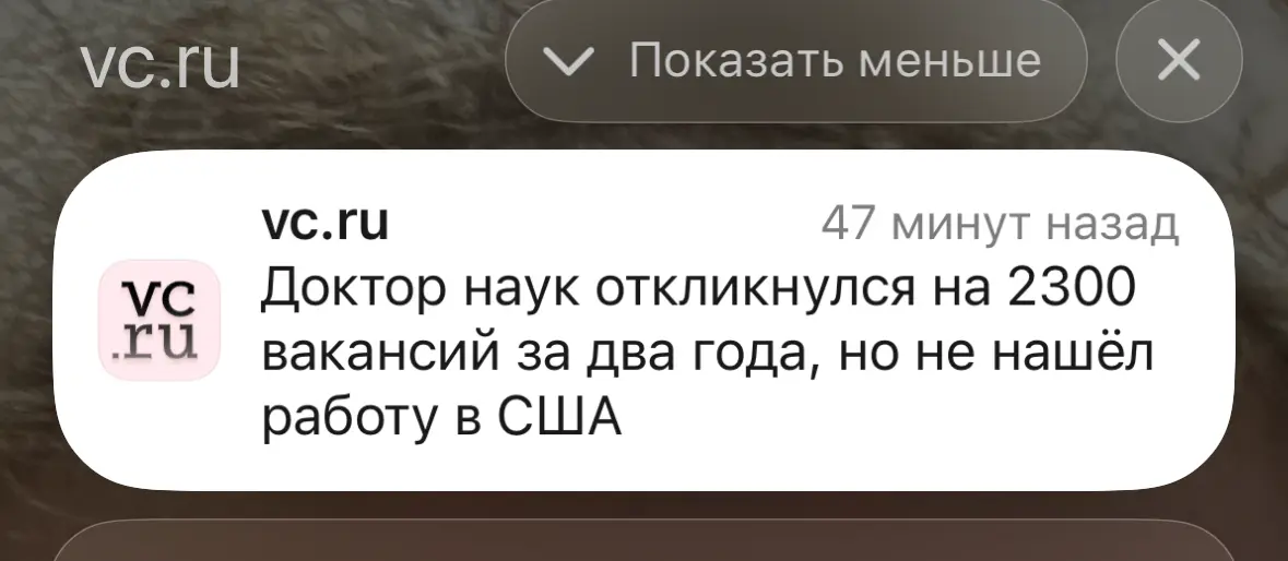 Что происходит с рынком труда? | Сетка — социальная сеть от hh.ru
