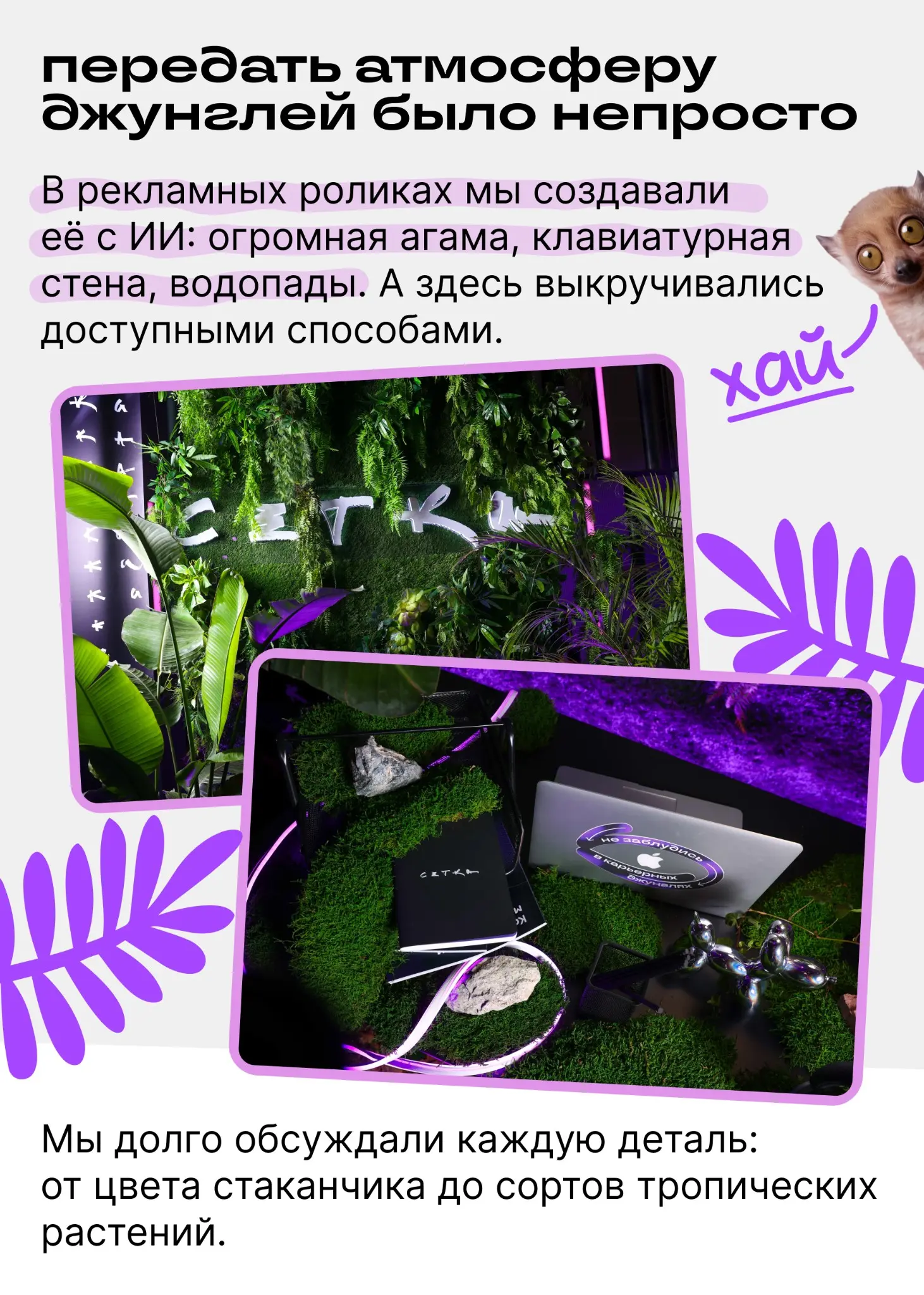 Пришли на конференцию, а попали в джунгли? Это наша вина… | Сетка — социальная сеть от hh.ru
