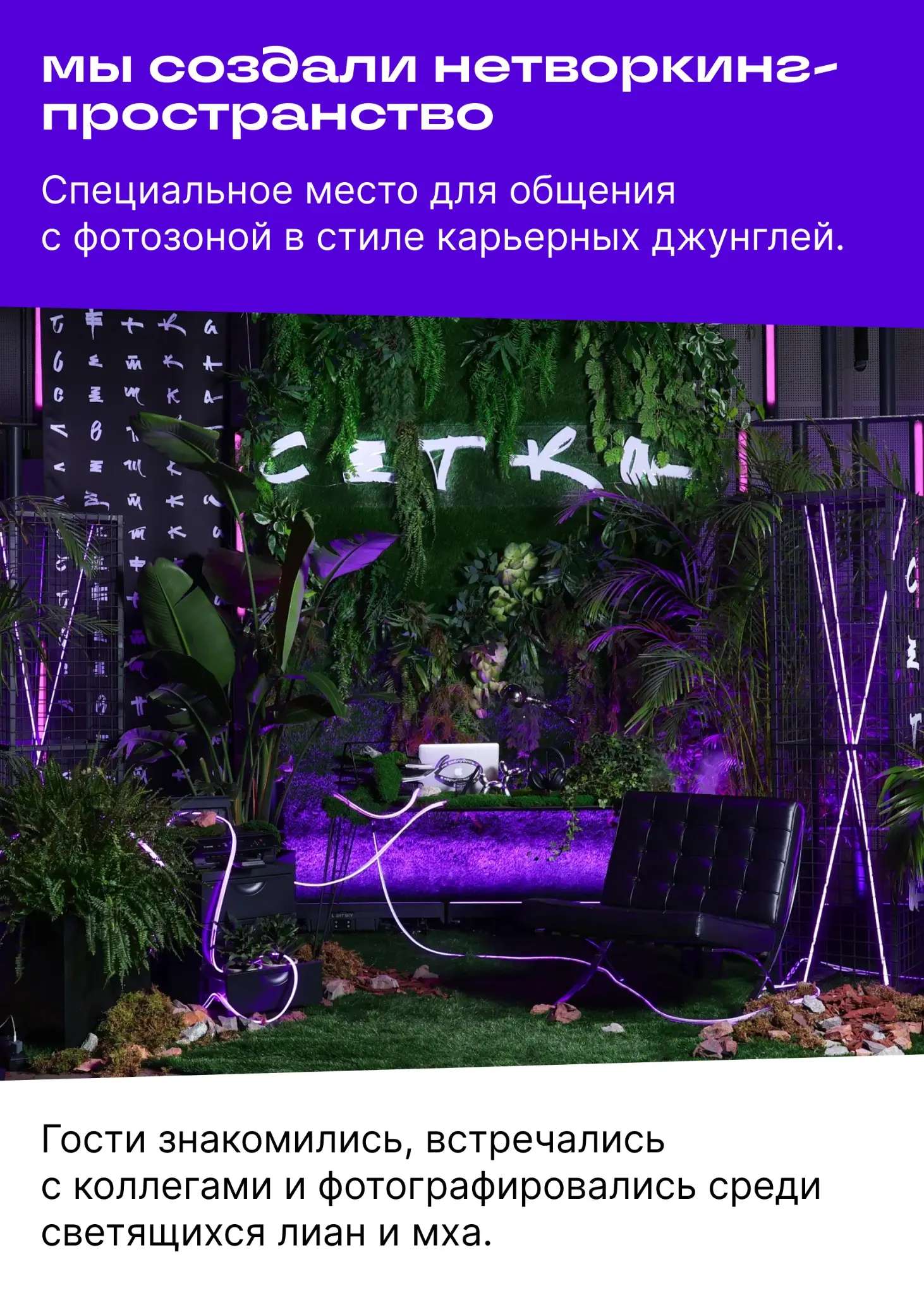 Пришли на конференцию, а попали в джунгли? Это наша вина… | Сетка — социальная сеть от hh.ru
