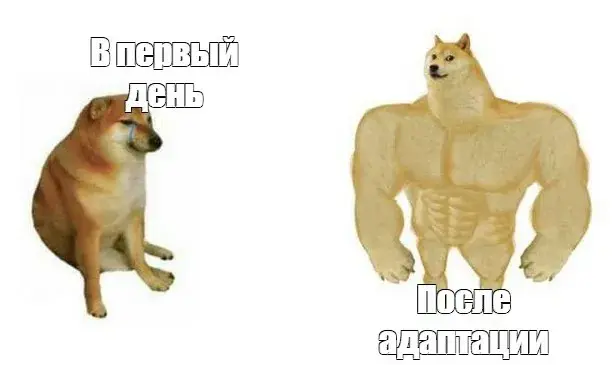 «Сам разберётся» самый дорогой способ адаптации сотрудников | Сетка — социальная сеть от hh.ru