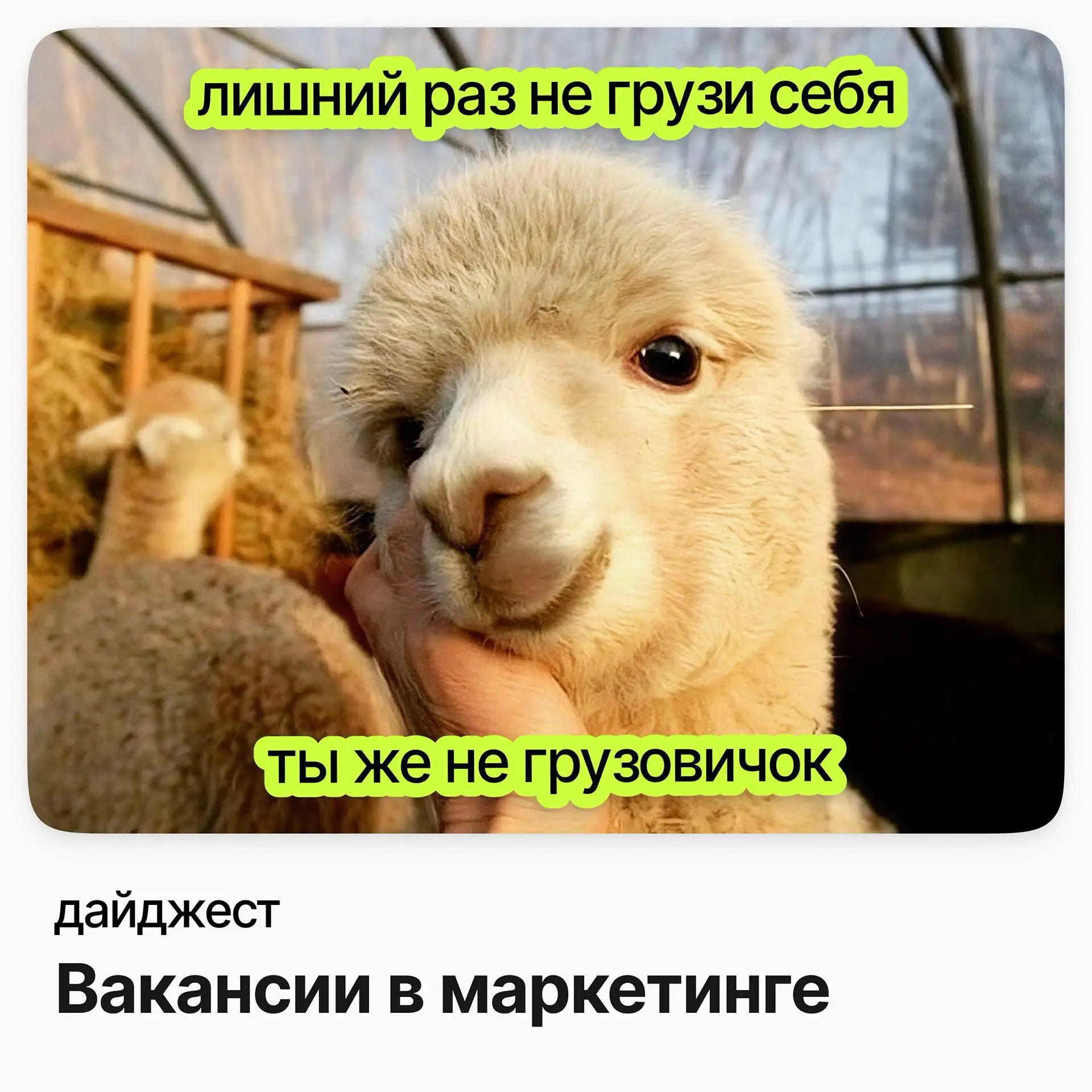 💼💼💼Вакансии в маркетинге
Руководитель по развитию бренда и продуктовых коммуникаций / Rusprofile (удалёнка)
Зарплата: от 271 000 ₽ /на руки
Подробнее
Бренд-менеджер (Beauty & Wellbeing) / Арнест ЮниРу... | Сетка — социальная сеть от hh.ru