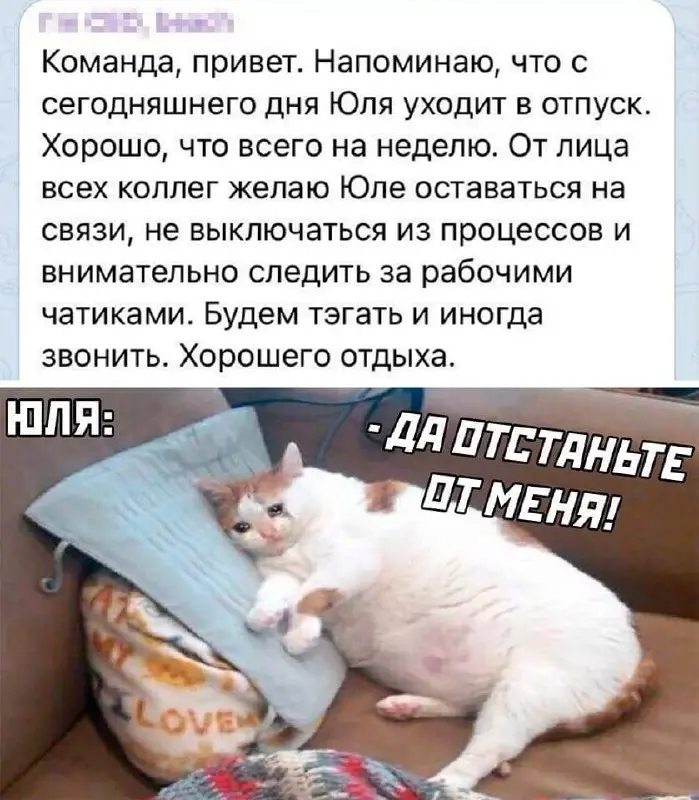 Ни минуты покоя 😂
БЛОГ В ТГ / БЛОГ В MAX
#Юмор #Коты
В этом посте были ссылки, но мы их удалили по правилам Сетки | Сетка — социальная сеть от hh.ru