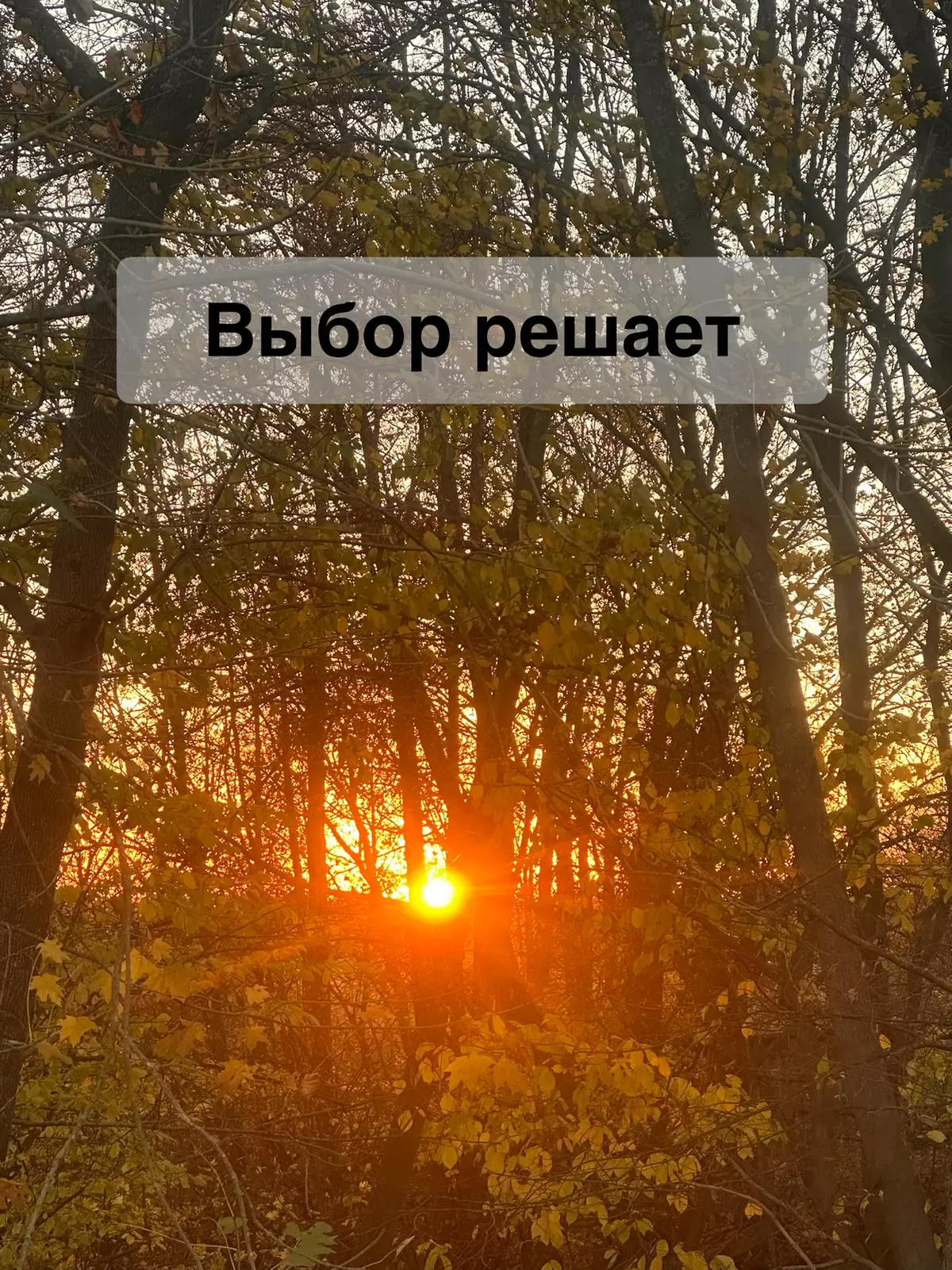 Доброго утра, дорогие❤️🙌
Если тебе кажется, что кто-то не такой, что-то не так, как бы хотелось, подумай, выбираешь ли ты это?
Устраивает ли тебя такой твой выбор?
А что хочешь?
А дальше?!🤔
А затем ли... | Сетка — социальная сеть от hh.ru