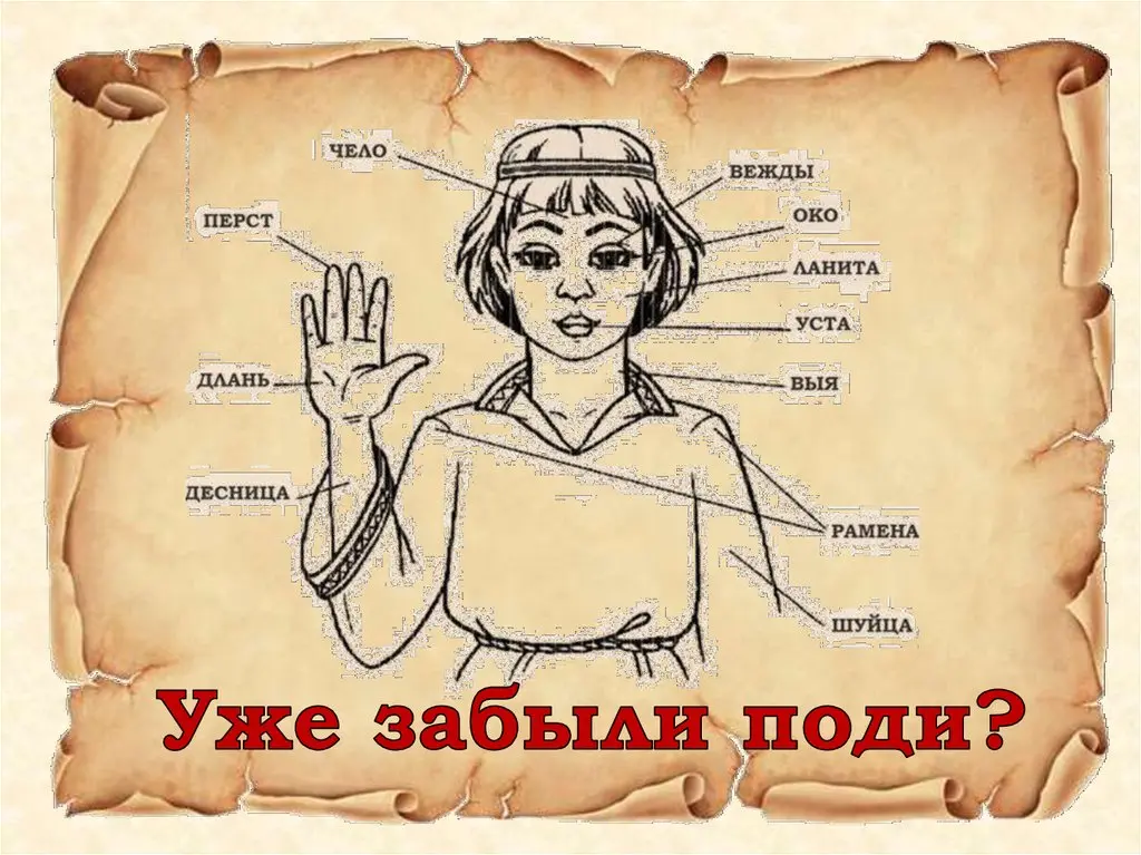Какое русское слово стоит вернуть? | Сетка — социальная сеть от hh.ru