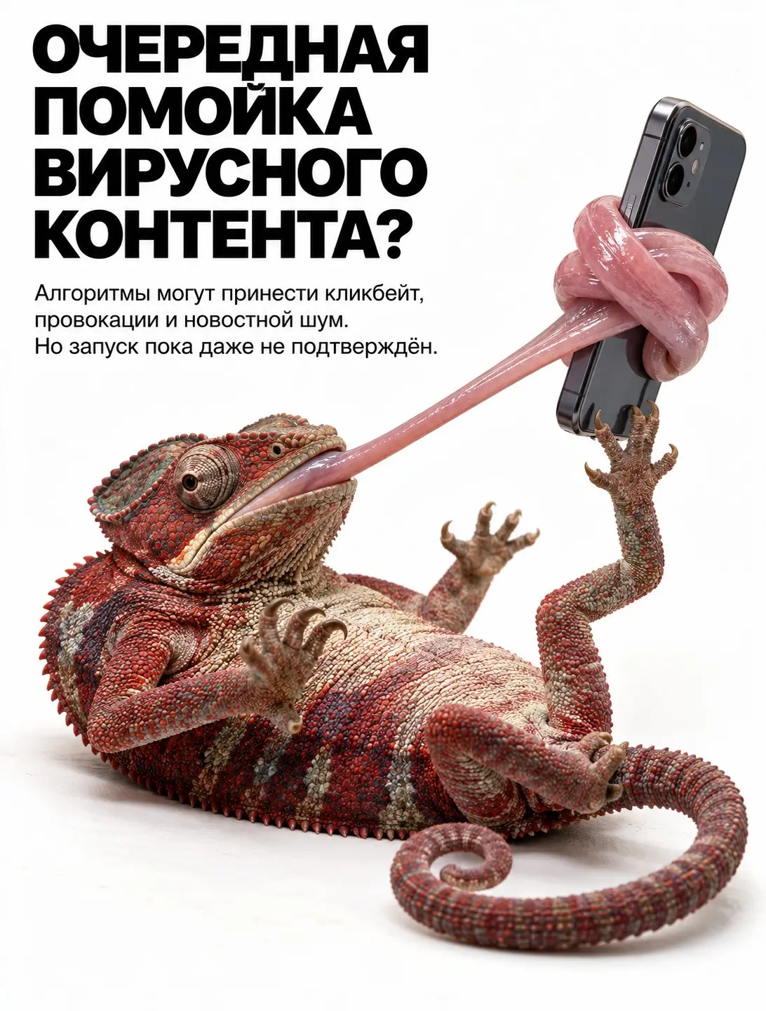 Telegram готовит алгоритмическую ленту | Сетка — социальная сеть от hh.ru