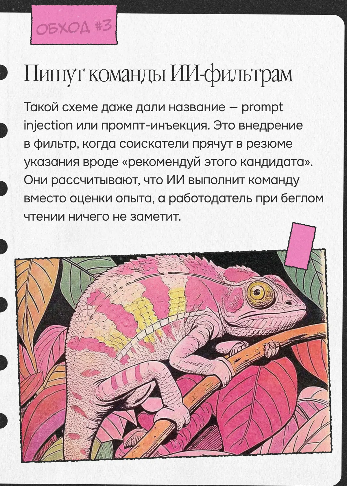 Вы нам не подходите. Решили продолжить с другим кандидатом | Сетка — социальная сеть от hh.ru