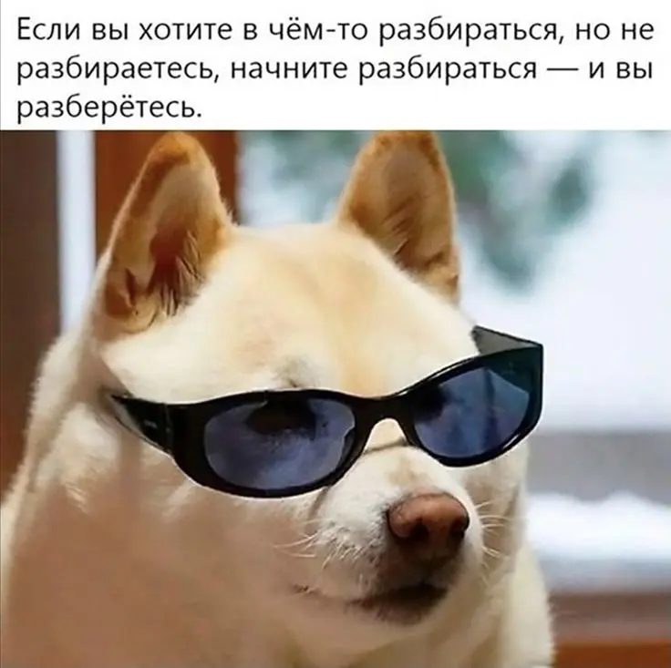 Ожидание vs Реальность | Сетка — социальная сеть от hh.ru