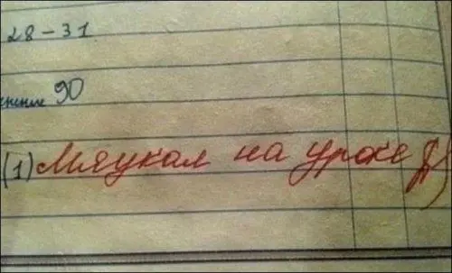 comment image