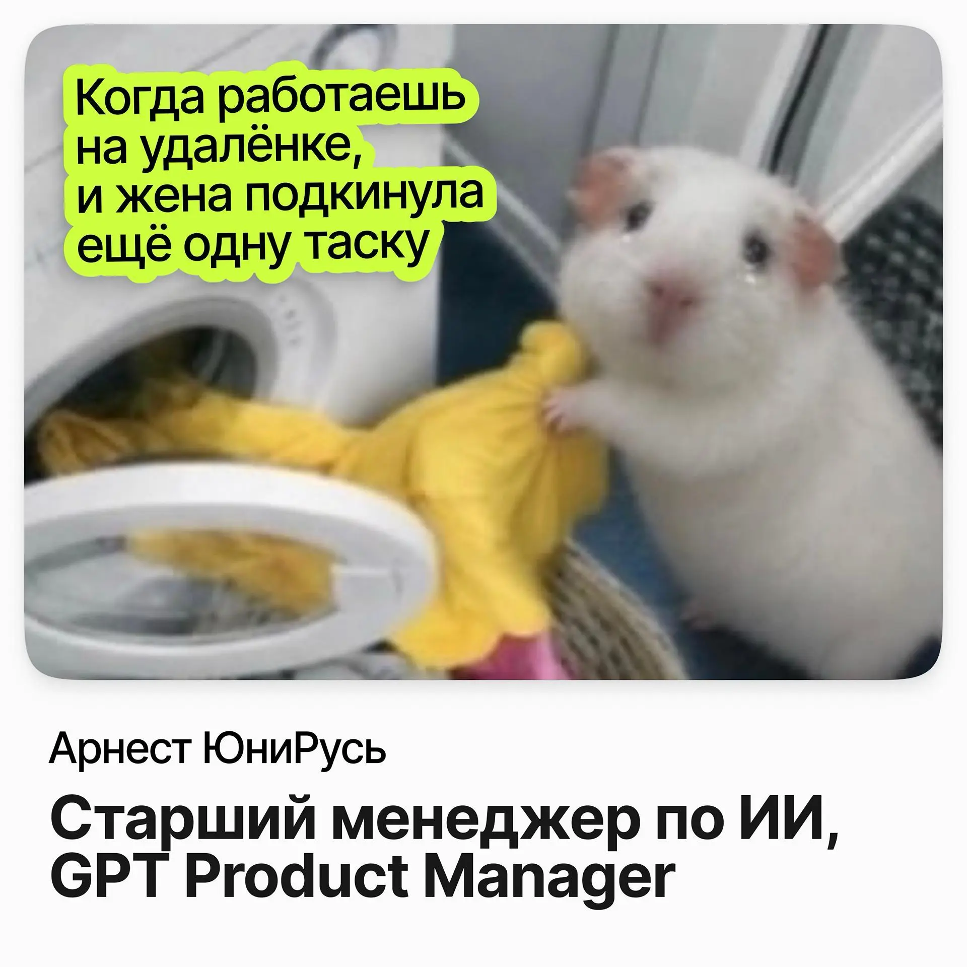 🤖 Старший менеджер по ИИ, GPT Product Manager / Арнест ЮниРусь
Арнест ЮниРусь — бывший российский бизнес Unilever, с 2024 года в группе «Арнест» | Сетка — социальная сеть от hh.ru