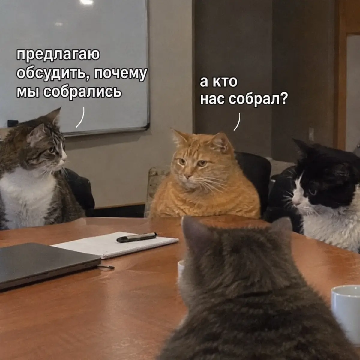 Ищу работу: день 35. | Сетка — социальная сеть от hh.ru