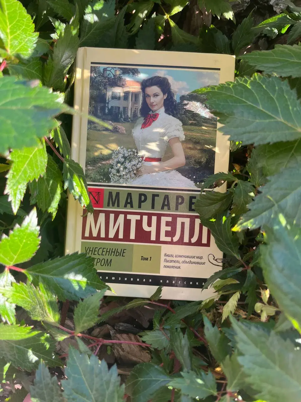 ~читаю сейчас~
📚 второй день совместных чтений «Унесенных ветром» Маргарет Митчелл (с психологом)
101/702
☕️ оказывается, дедушка Скарлетт — солдат армии Наполеона, а значит, чисто теоретически, вполн... | Сетка — социальная сеть от hh.ru