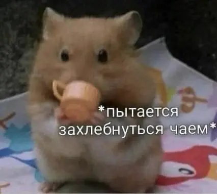 Немного о рабочем месте 🤔🎋 | Сетка — социальная сеть от hh.ru