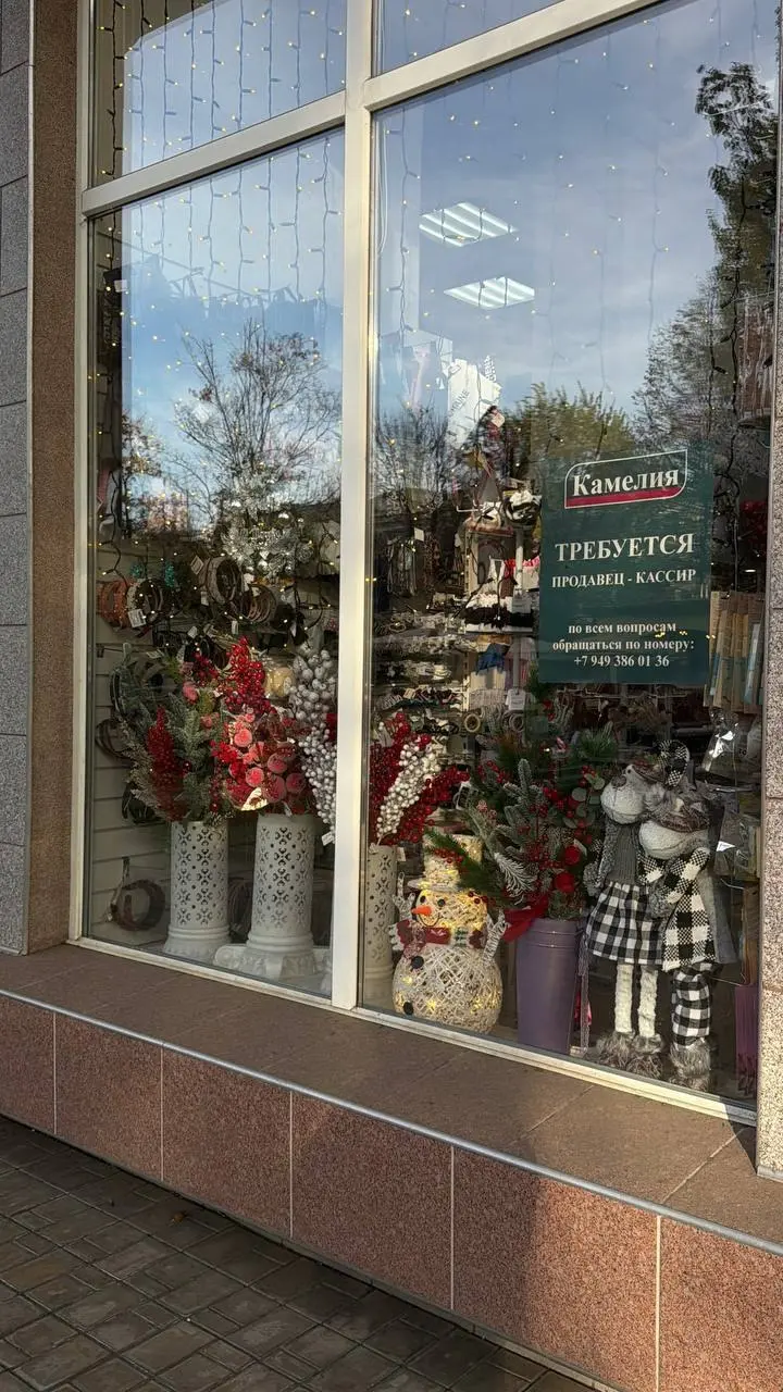 Донецк.
Раньше продашь, раньше сядешь....ой,не то... раньше получишь прибыль) | Сетка — социальная сеть от hh.ru