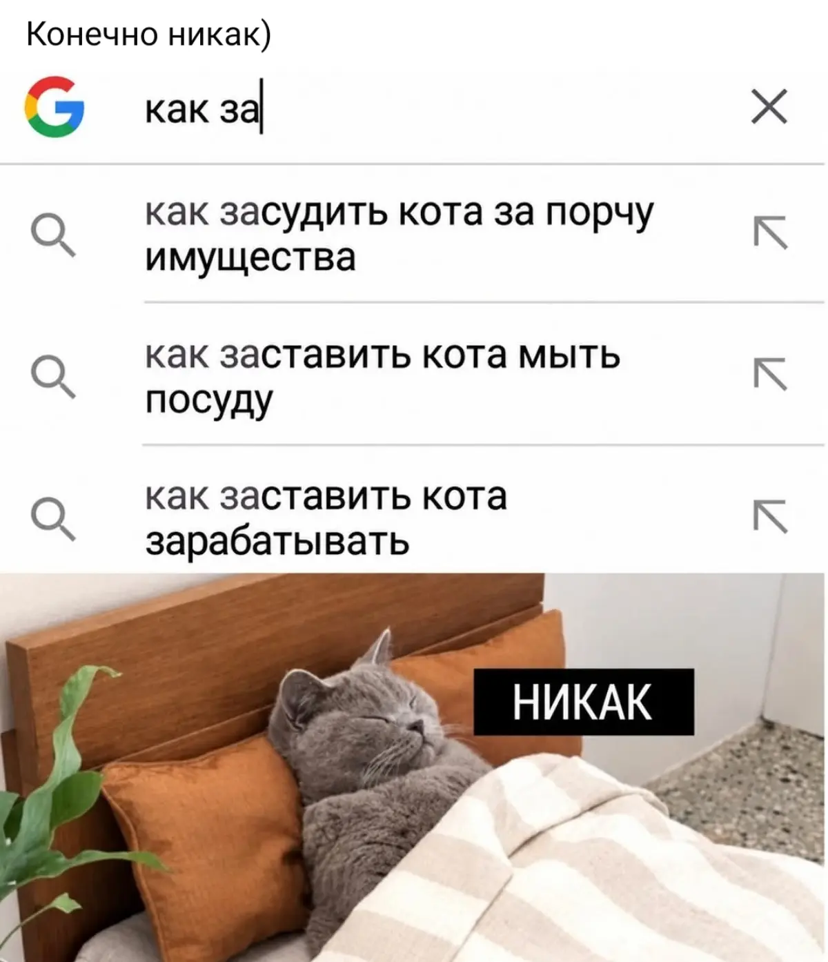 Как относитесь к животным на рабочих местах ?
Серпентарий не считается 😅
Бывали у вас кошки, собаки или может попугаи 🦜, или крысы 😂 отвлекают от работы ? 🙂‍↔️😉 | Сетка — социальная сеть от hh.ru