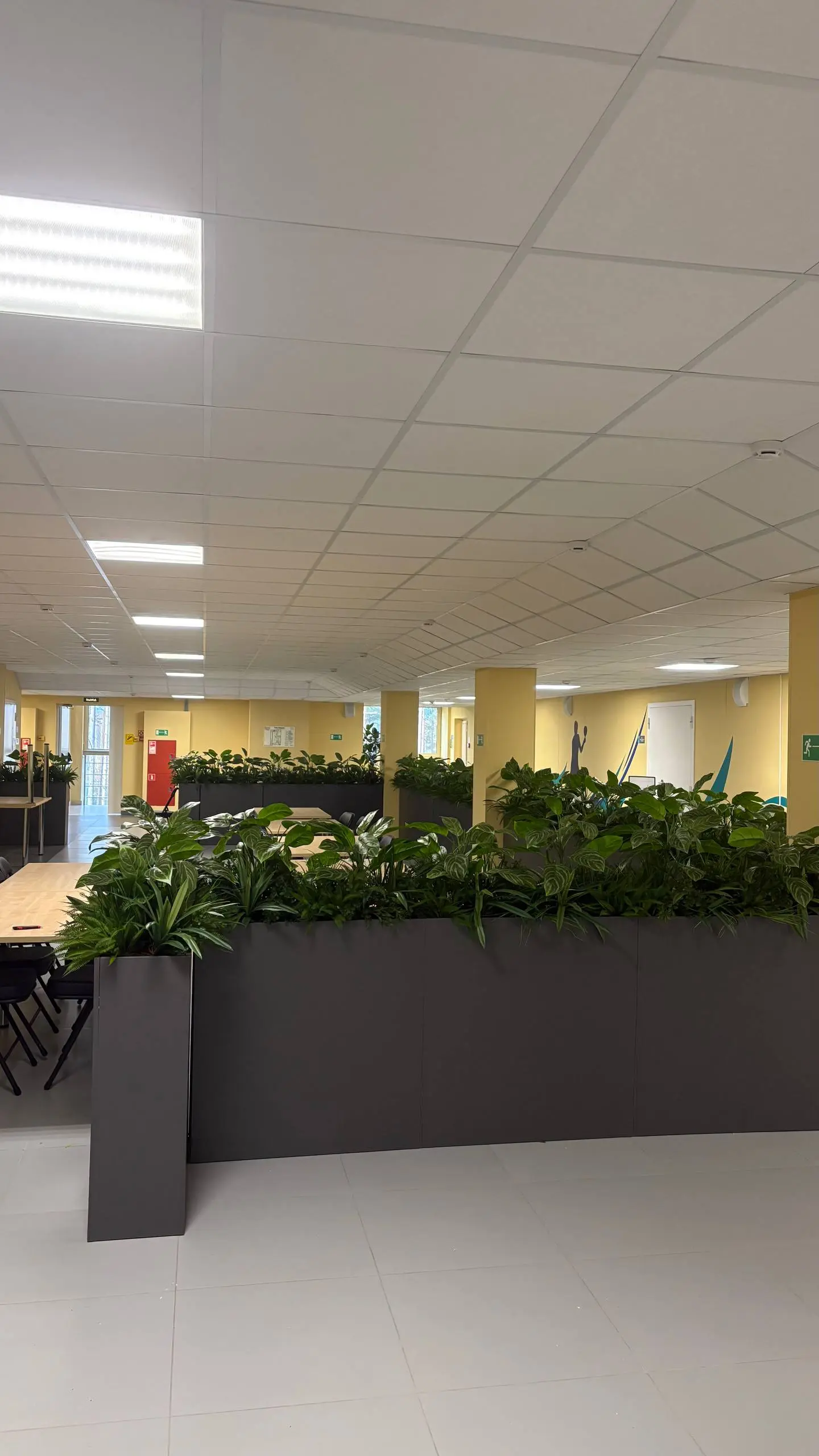 🌿 Зелёное зонирование шахматного клуба в ФОК г | Сетка — социальная сеть от hh.ru