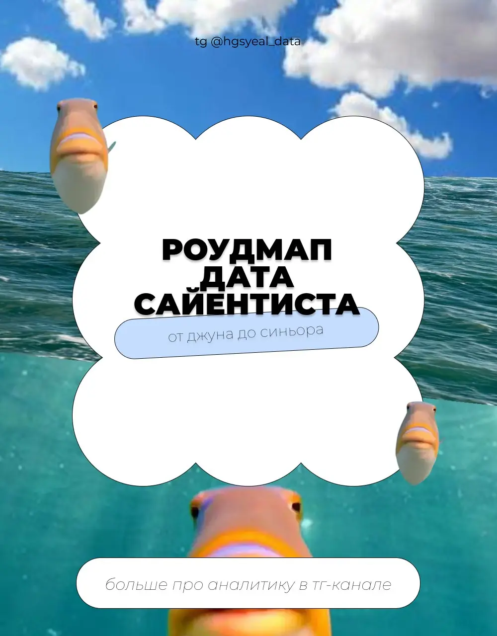 🤩 Роудмап дата сайентиста: от джуна до синьора
Что учить, в каком порядке и где брать бесплатные материалы. Сохраняйте
🤩 Этап 0 | Сетка — социальная сеть от hh.ru