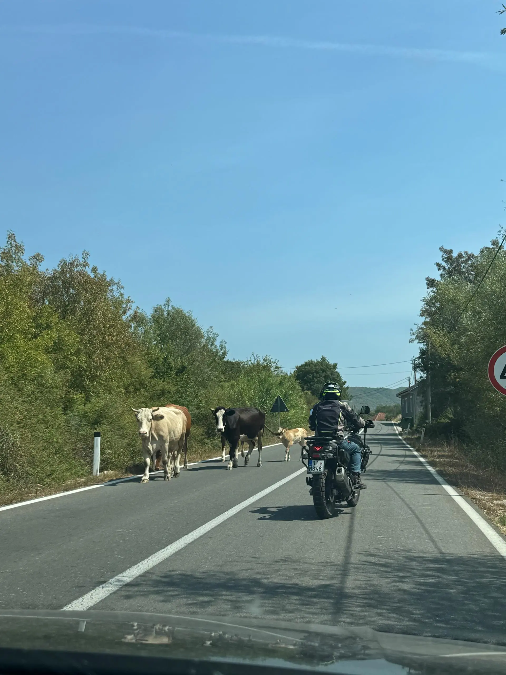 🇲🇪Бар, Черногория
Черногория вообще популярное направление у русских туристов, но я не понял почему. Не, к чевапям и пиву вопросов ноль, но вот к морю и заполненности пляжей много вопросов | Сетка — социальная сеть от hh.ru