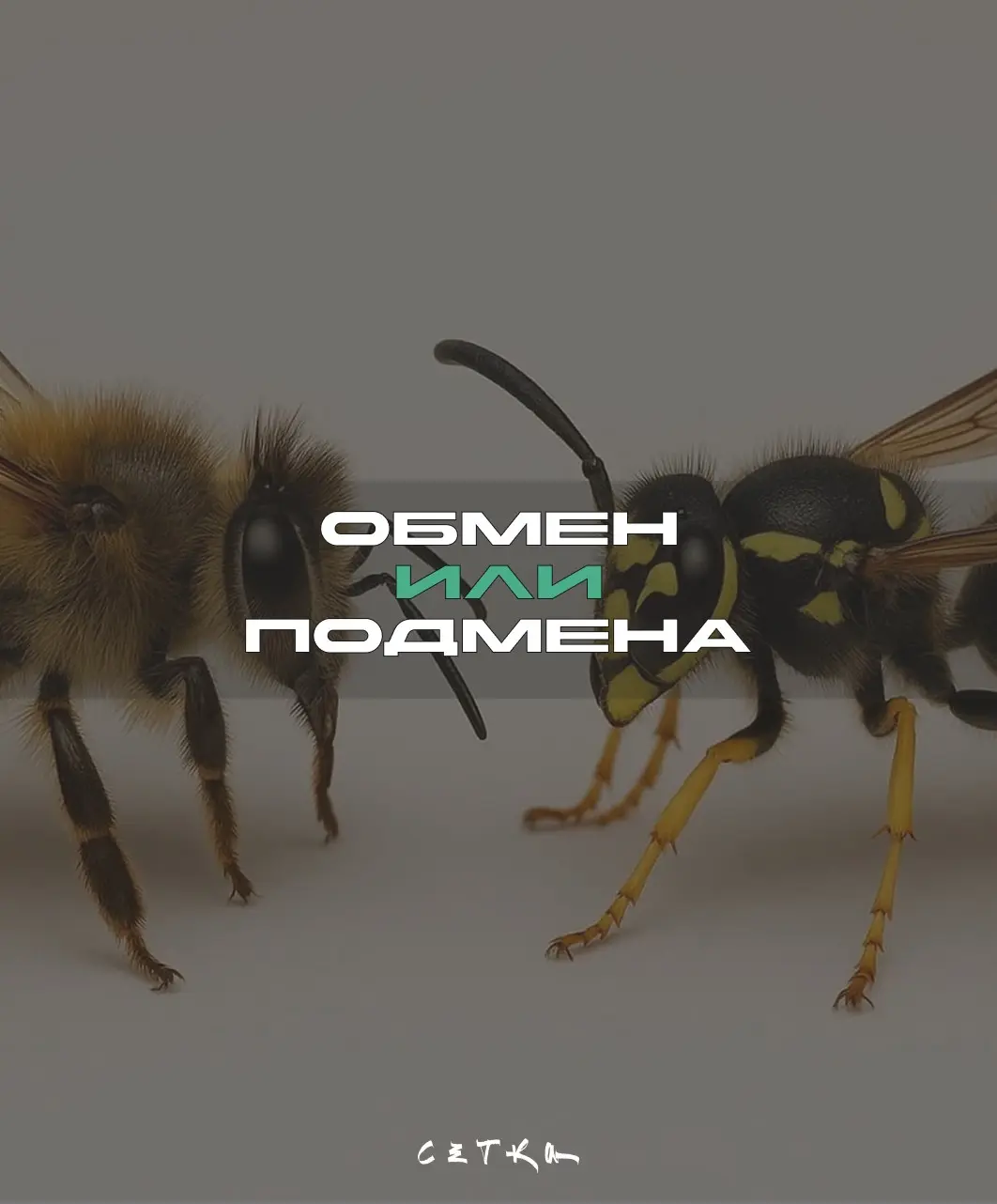 Две недели ещё не замена | Сетка — социальная сеть от hh.ru