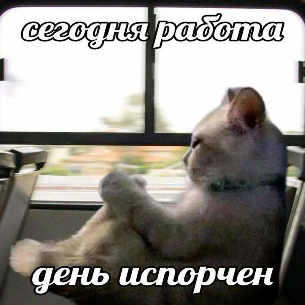 Хорошо, что сегодня уже среда, осталось всего лишь 40 лет | Сетка — социальная сеть от hh.ru
