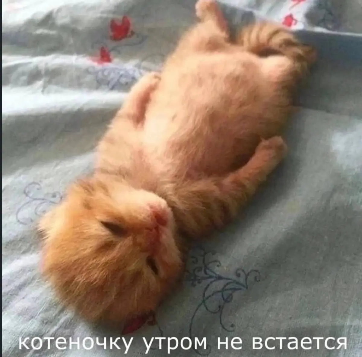 разряд батарейки | Сетка — социальная сеть от hh.ru