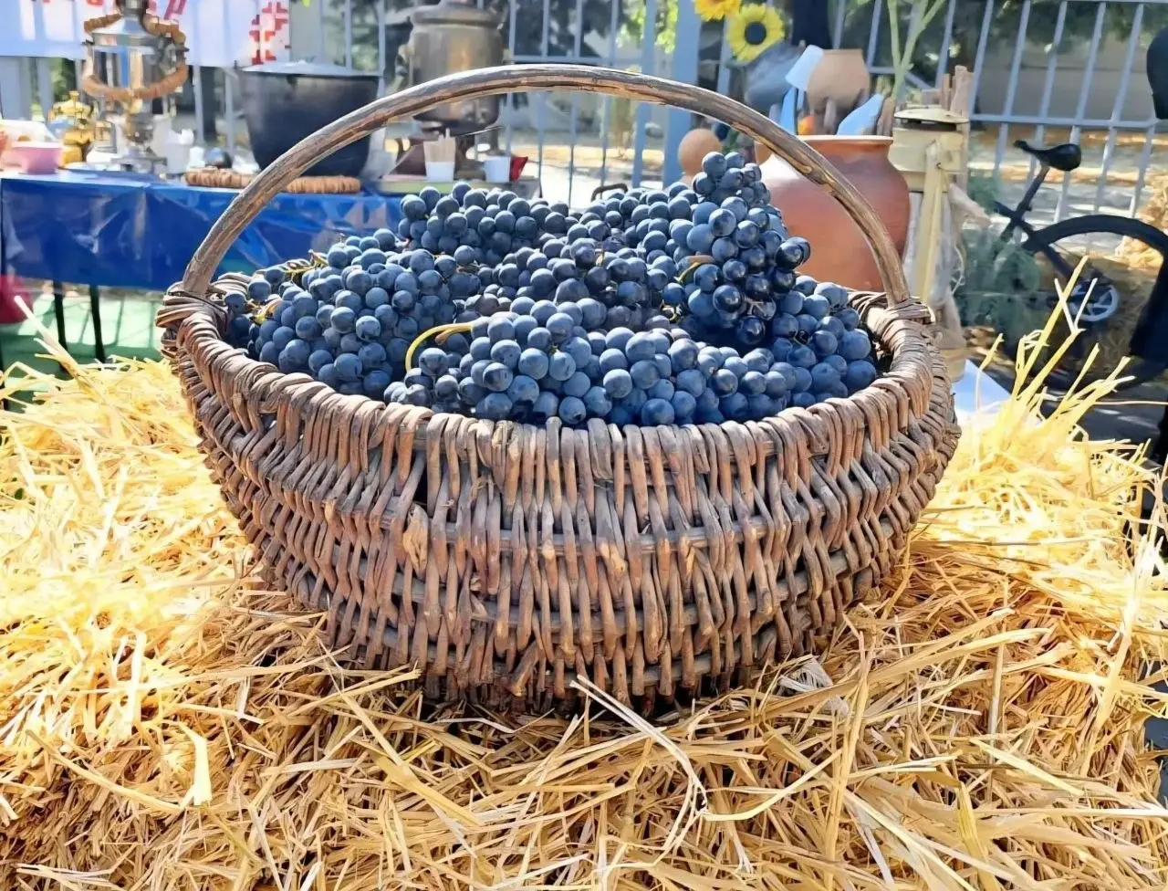 🍇 В Минеральных Водах пройдёт казачий праздник «Чихирь Иваныч»
31 октября в Казачьем культурно-историческом центре отметят праздник, посвящённый казачьим традициям и культуре | Сетка — социальная сеть от hh.ru
