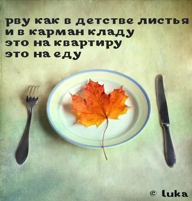 Работать бесплатно можно, если барин всем обеспечил! | Сетка — социальная сеть от hh.ru